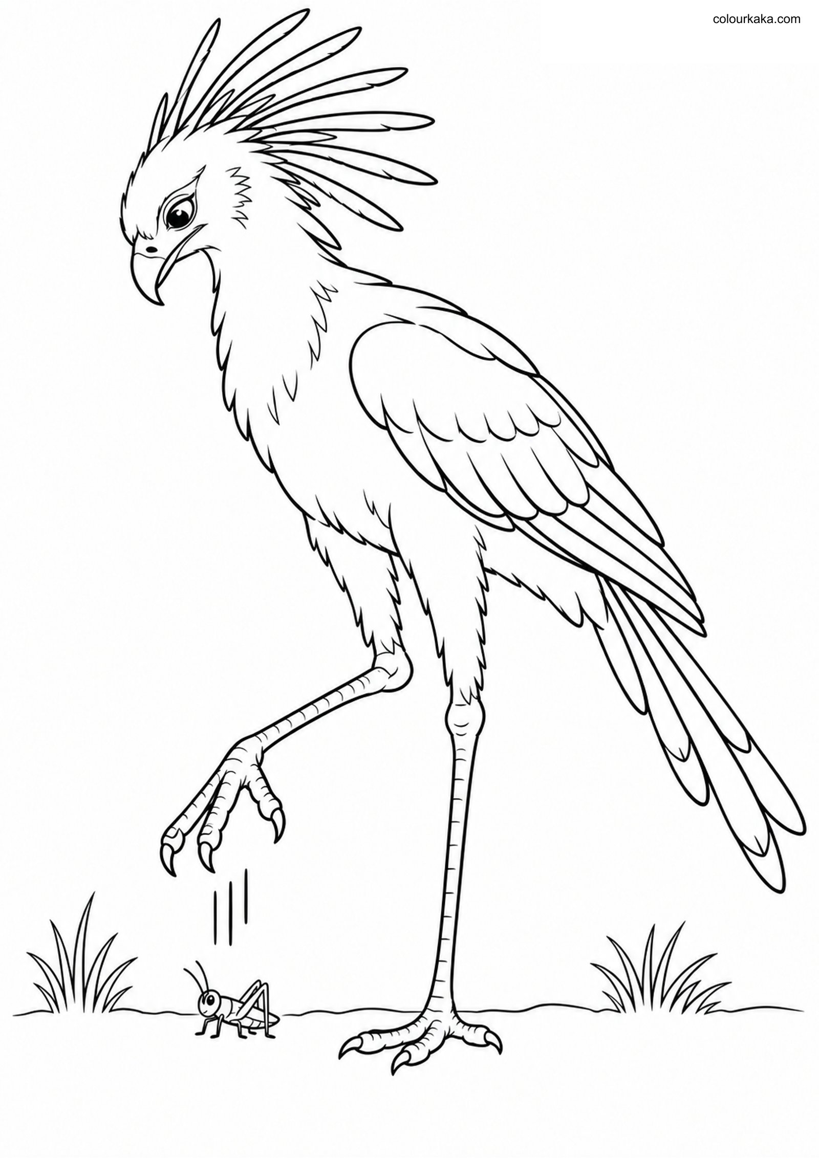 Secretary Bird Stomping Page colouring page preview