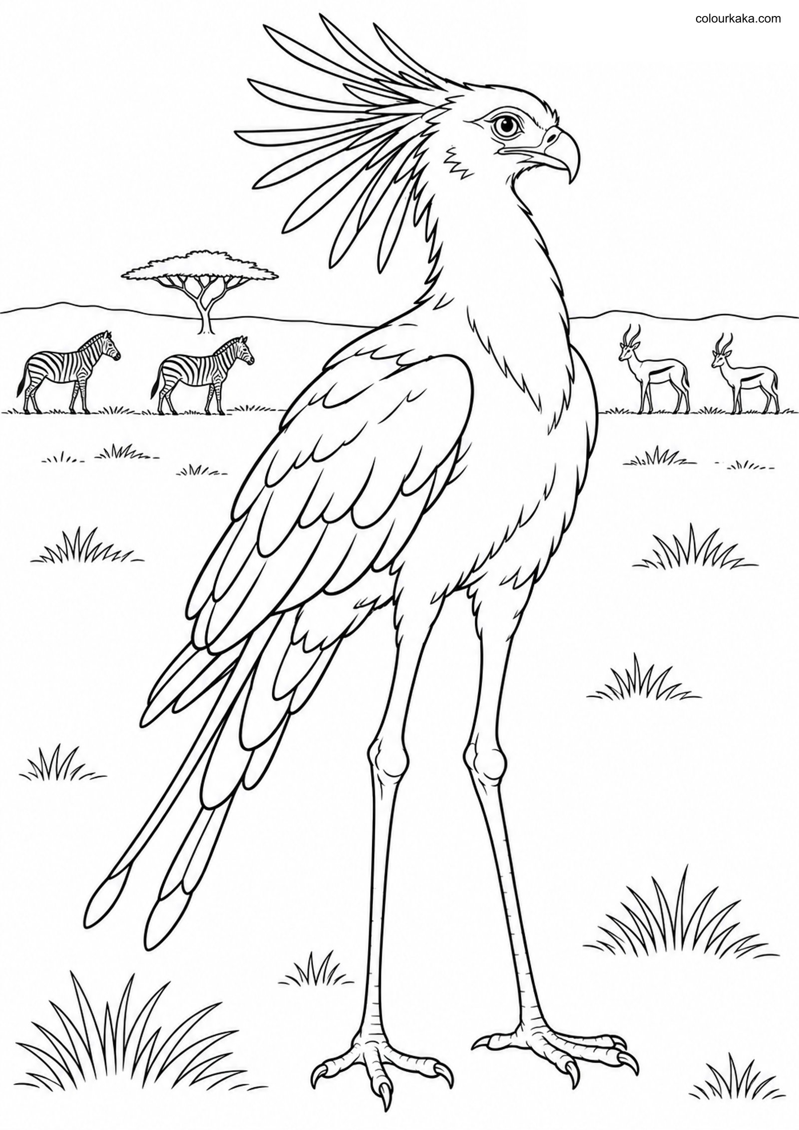 Secretary Bird Safari Scene colouring page preview