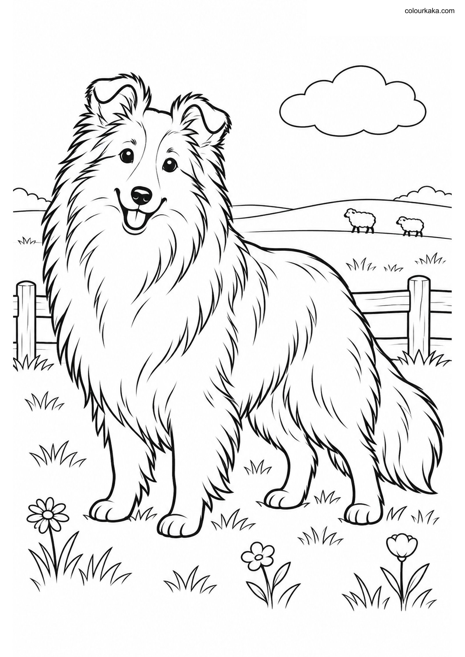 Shetland Sheepdog Colouring colouring page preview