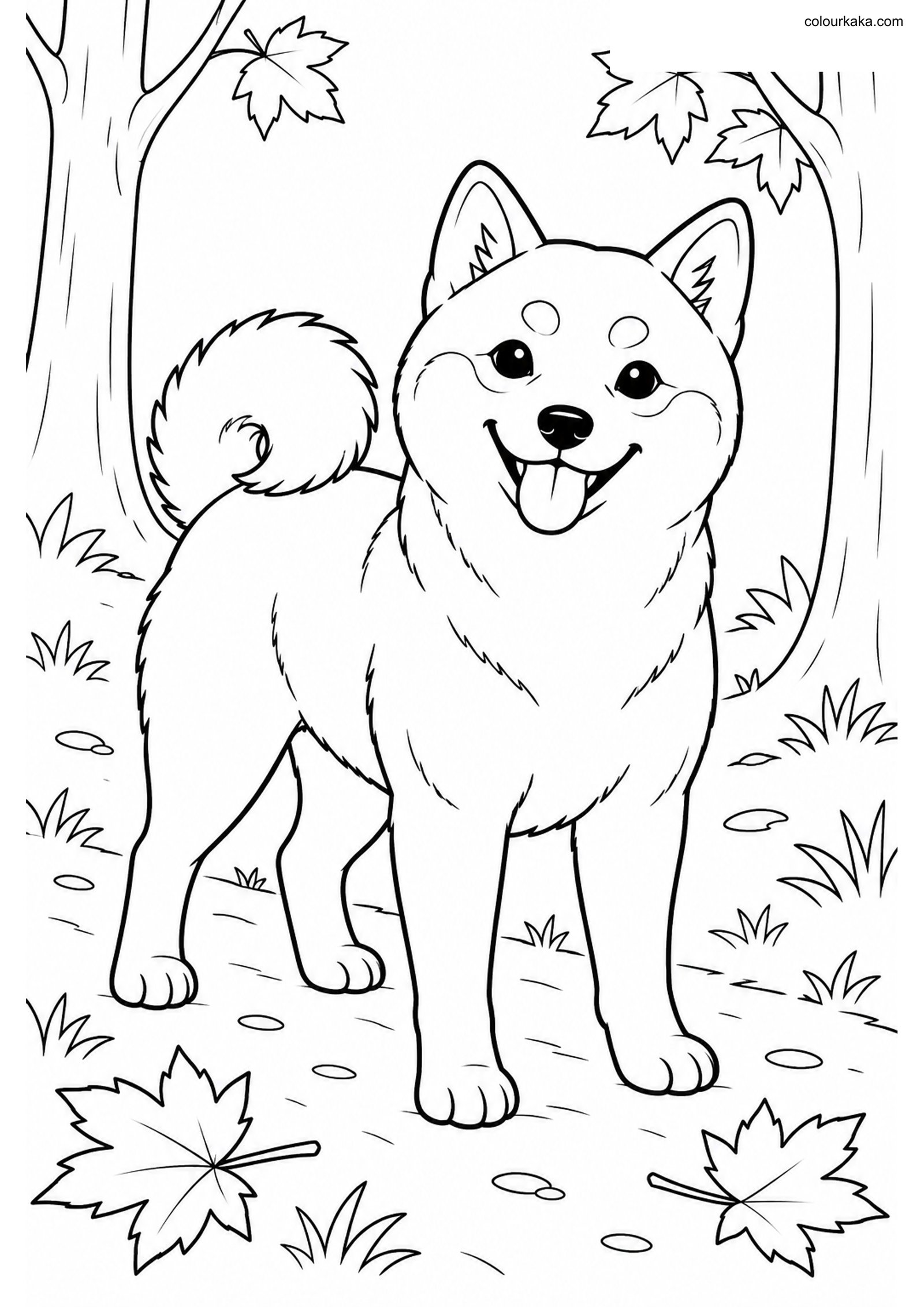 Shiba Inu Colouring Sheet colouring page preview