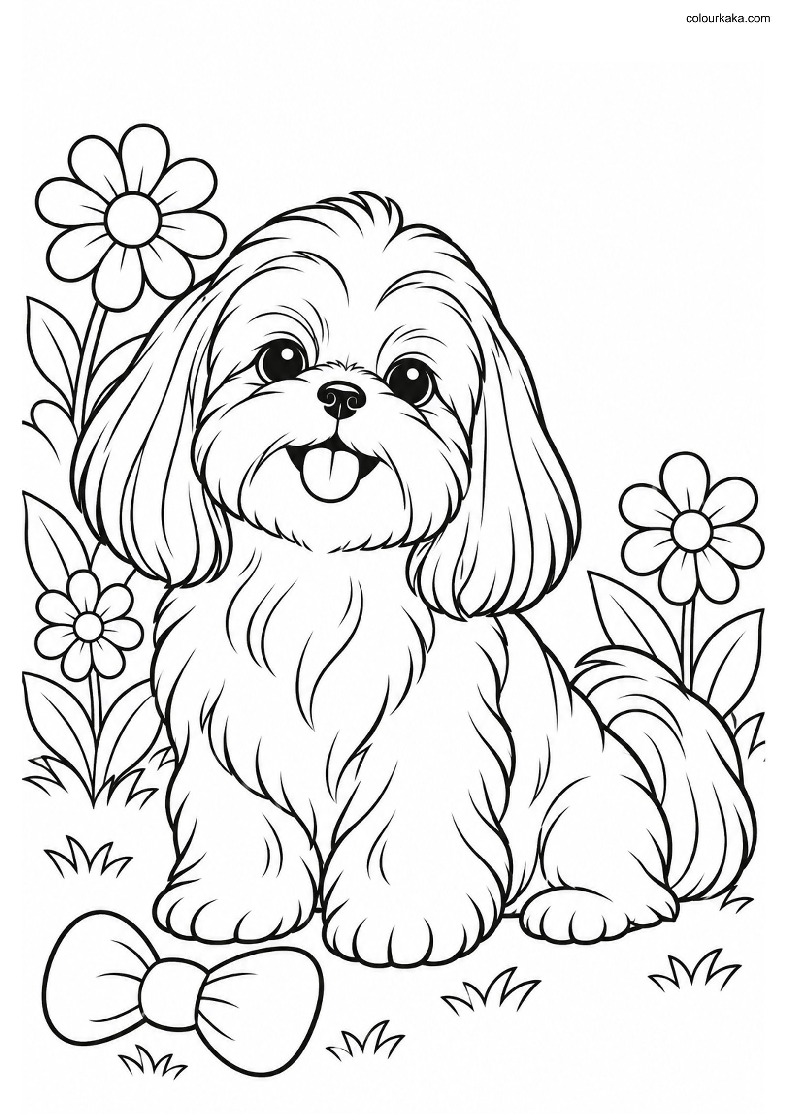 Shih Tzu Puppy Colouring Page colouring page preview