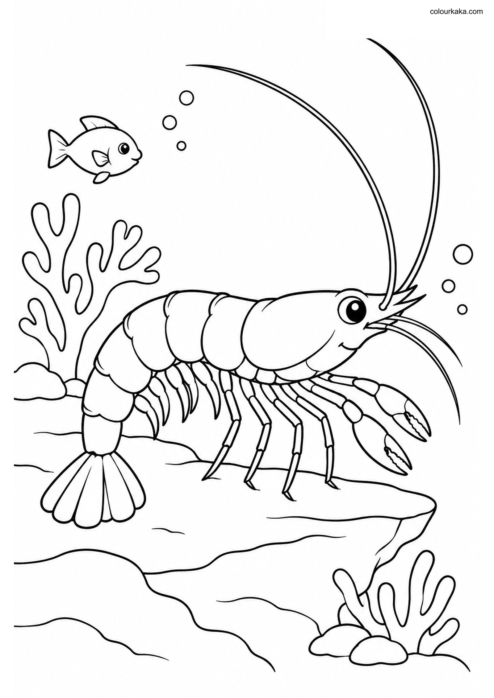 Shrimp Reef Colouring Page colouring page preview