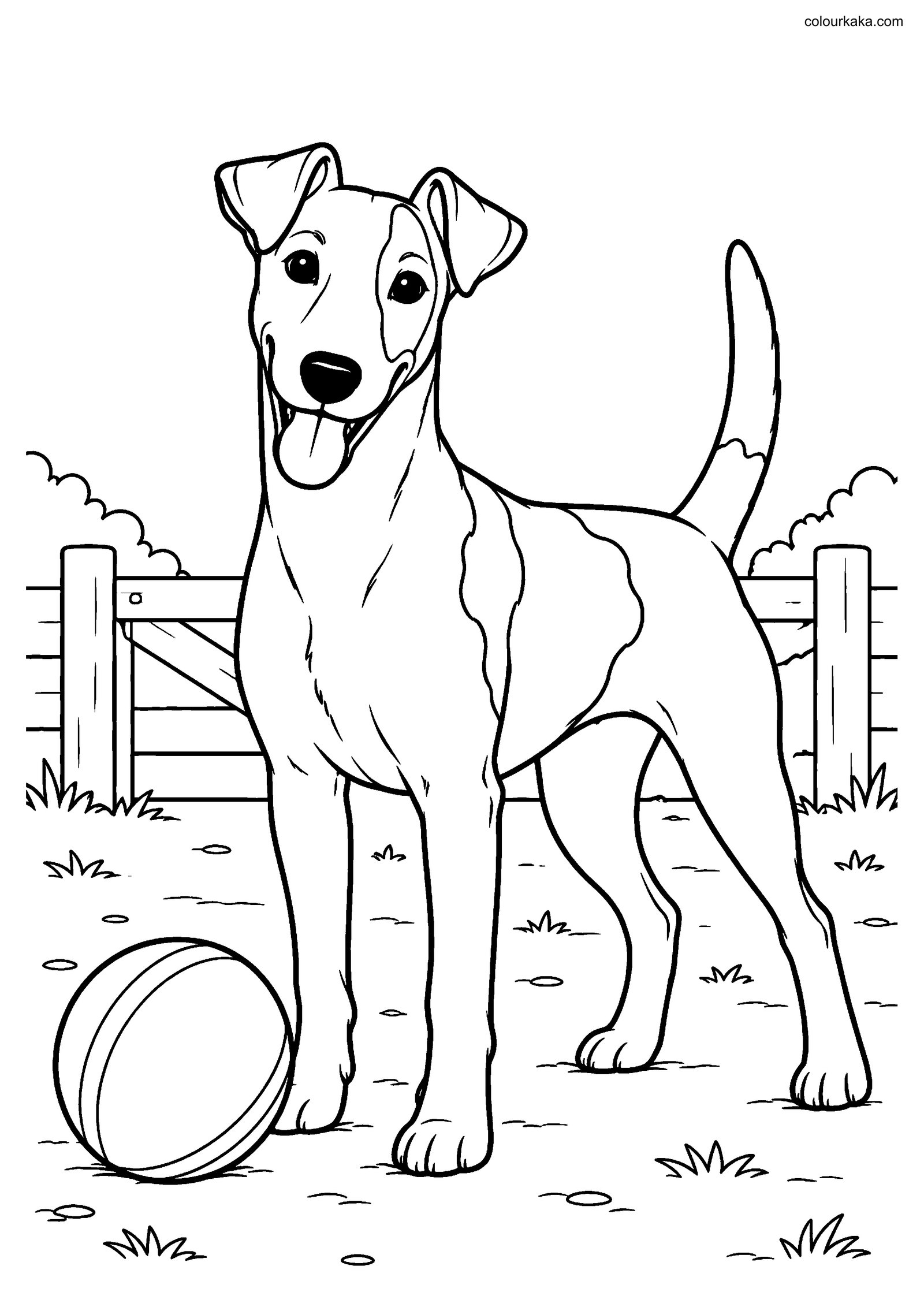 Smooth Fox Terrier Colouring colouring page preview