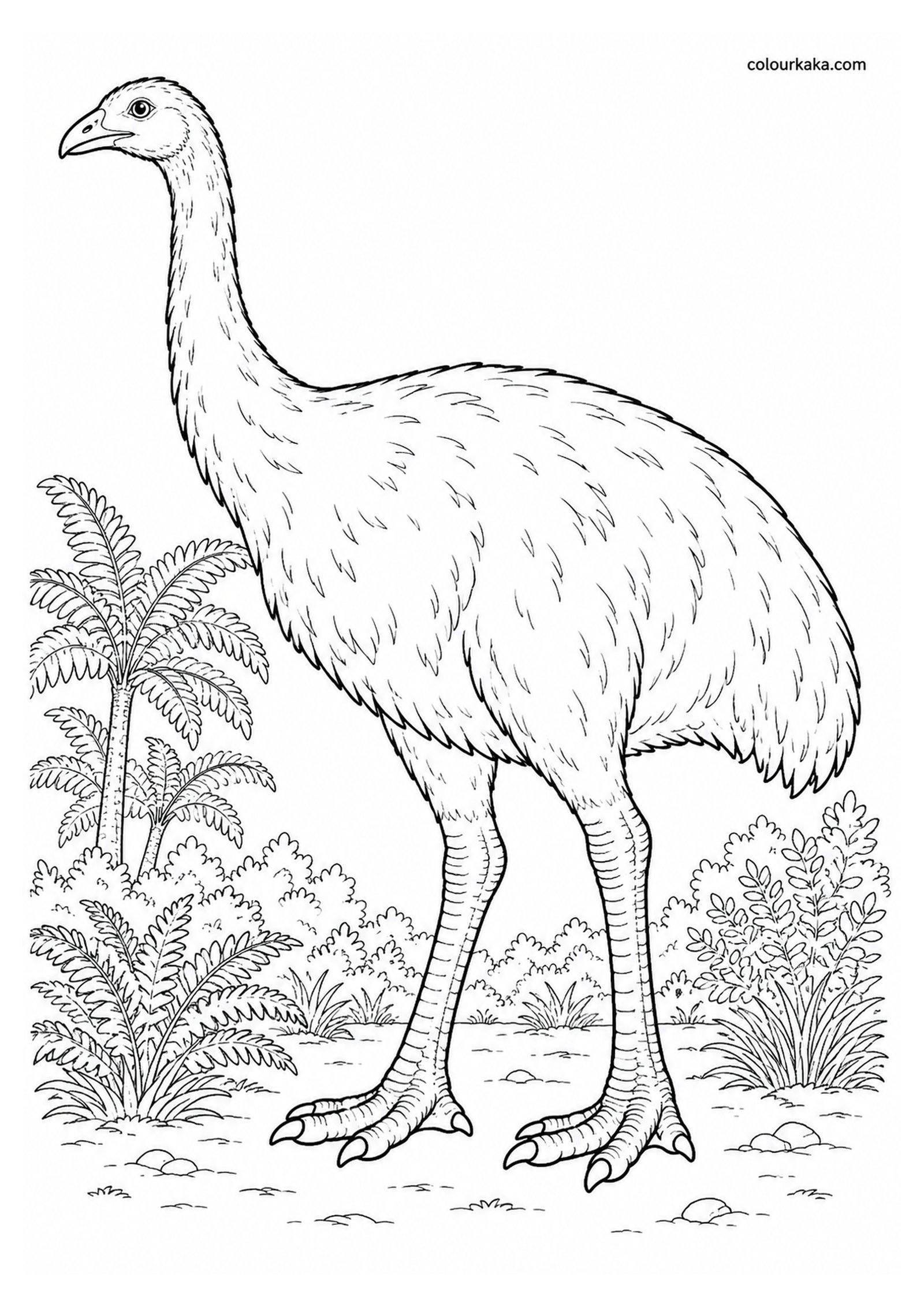 South Island Giant Moa Colouring Page colouring page preview