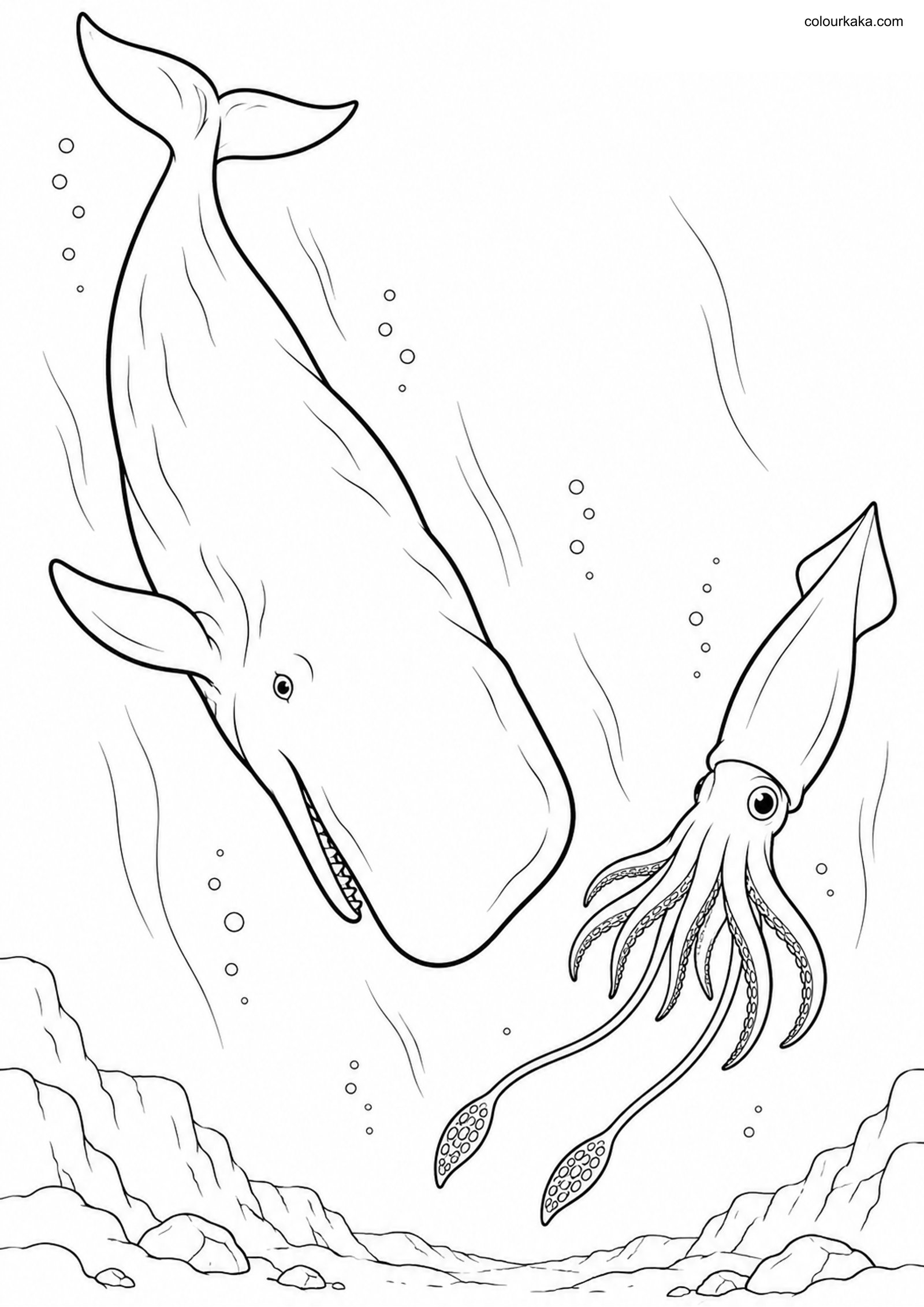Sperm Whale Colouring Page colouring page preview