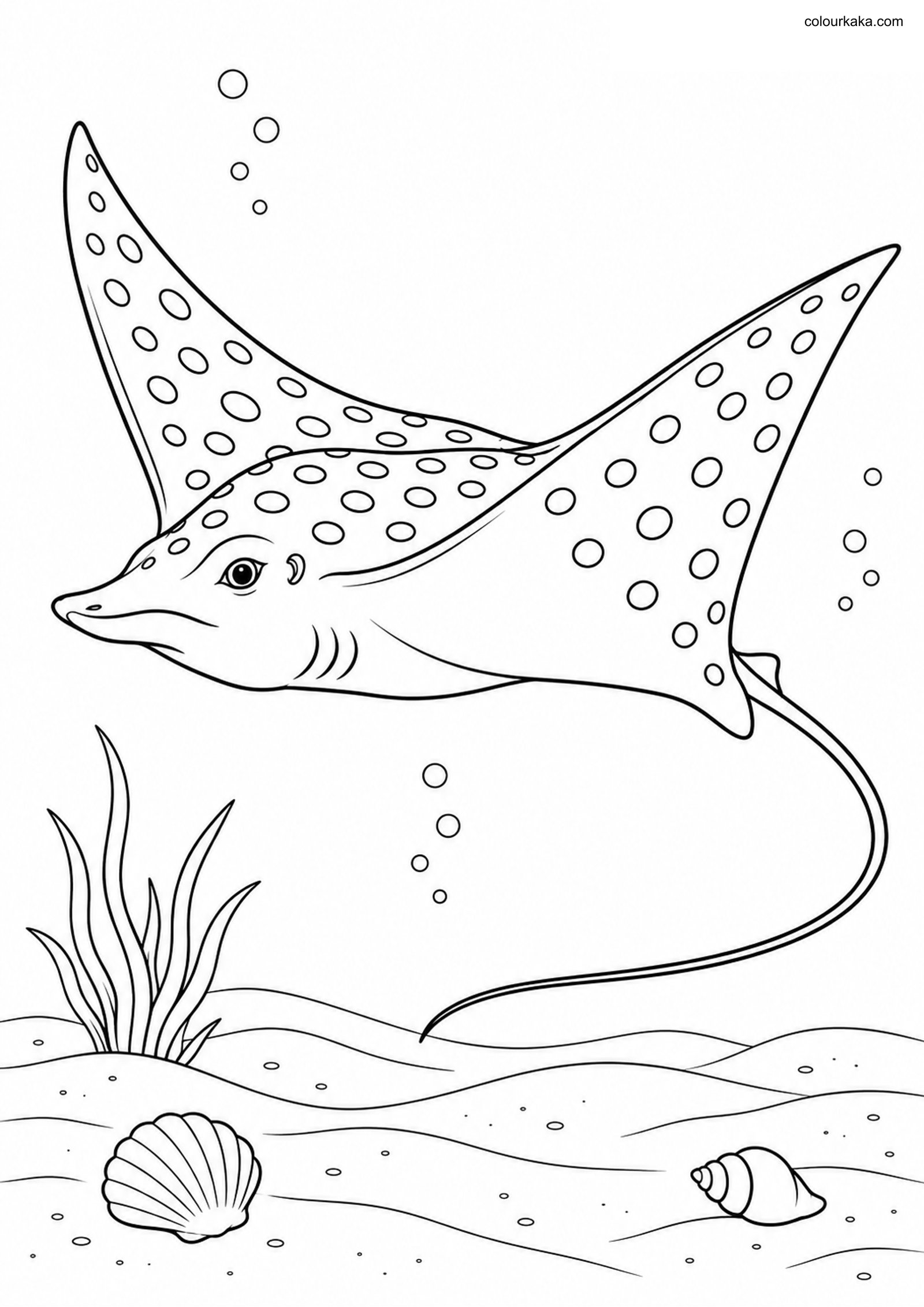 Spotted Eagle Ray Colouring colouring page preview