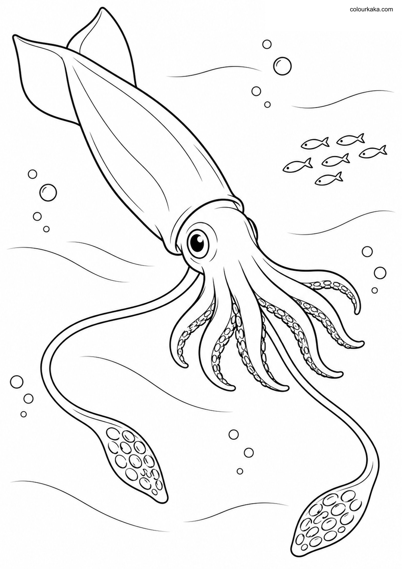 Squid Ocean Colouring Page colouring page preview