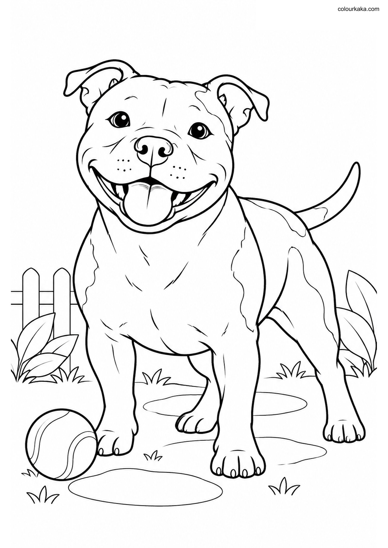 Staffordshire Bull Coloring colouring page preview