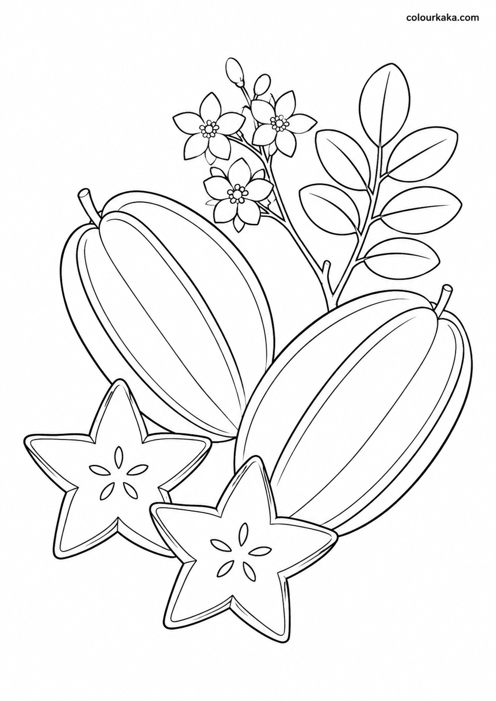 Star Fruit Shapes Colouring colouring page preview
