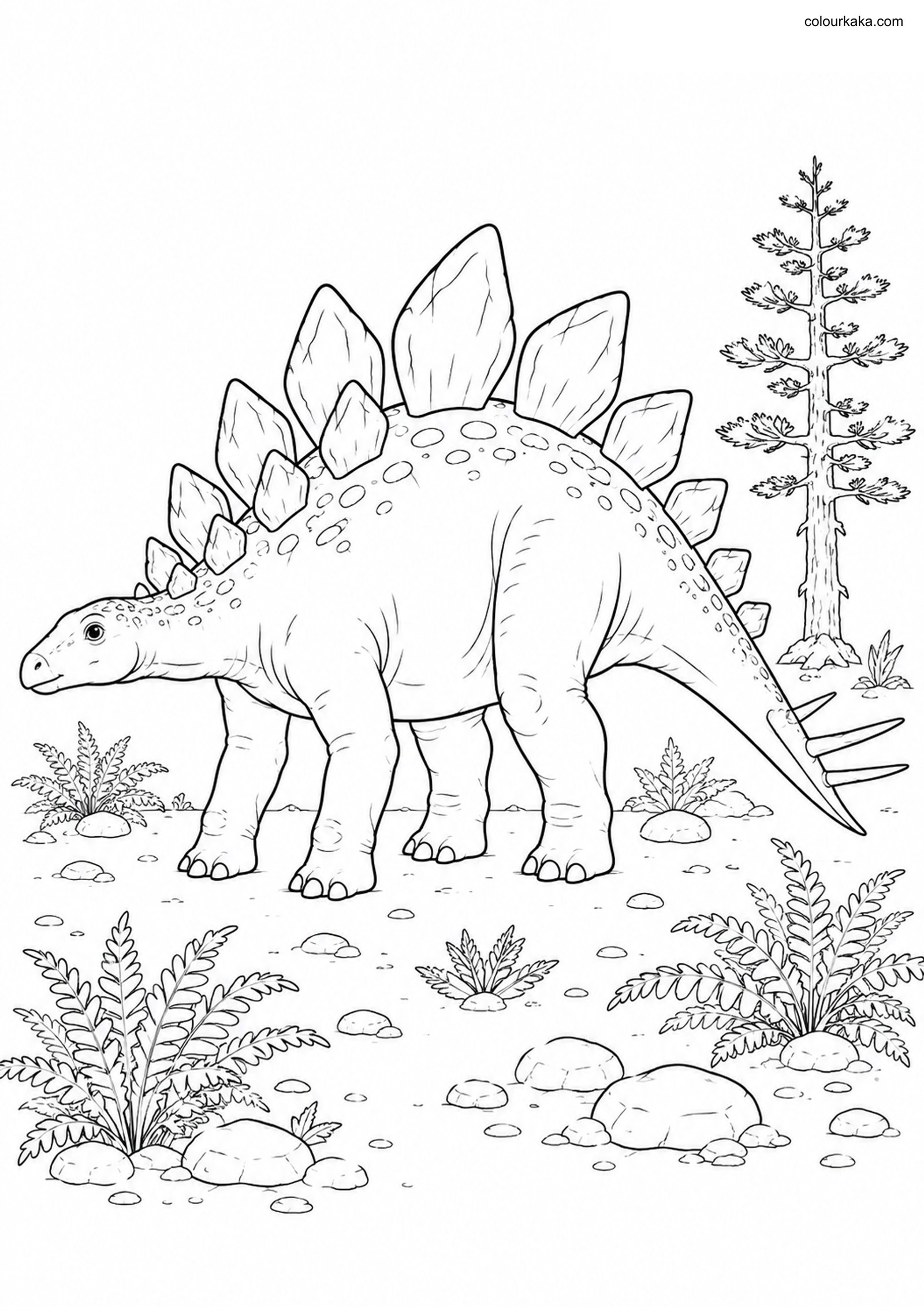 Stegosaurus Colouring Page colouring page preview