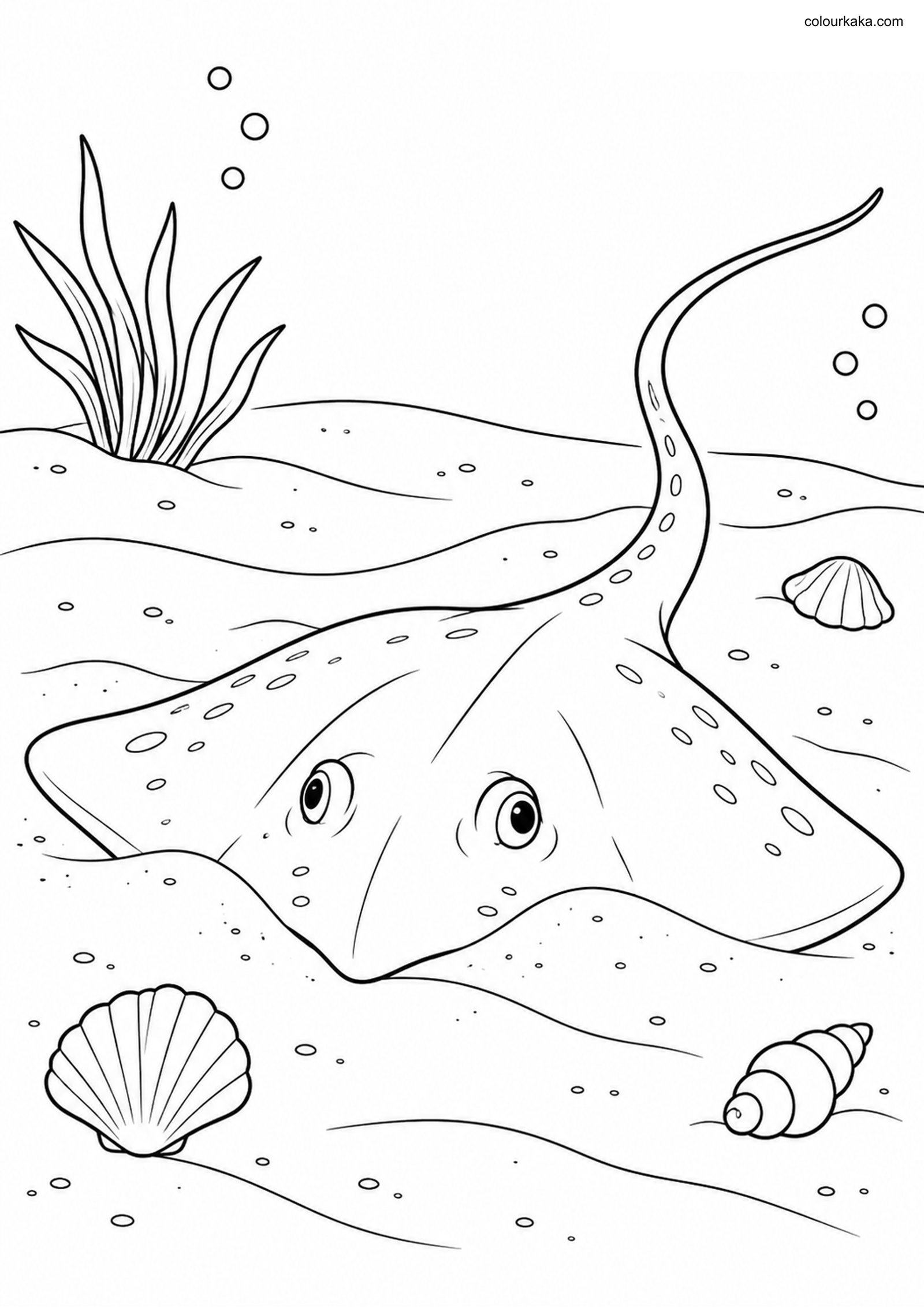 Stingray Colouring Page colouring page preview