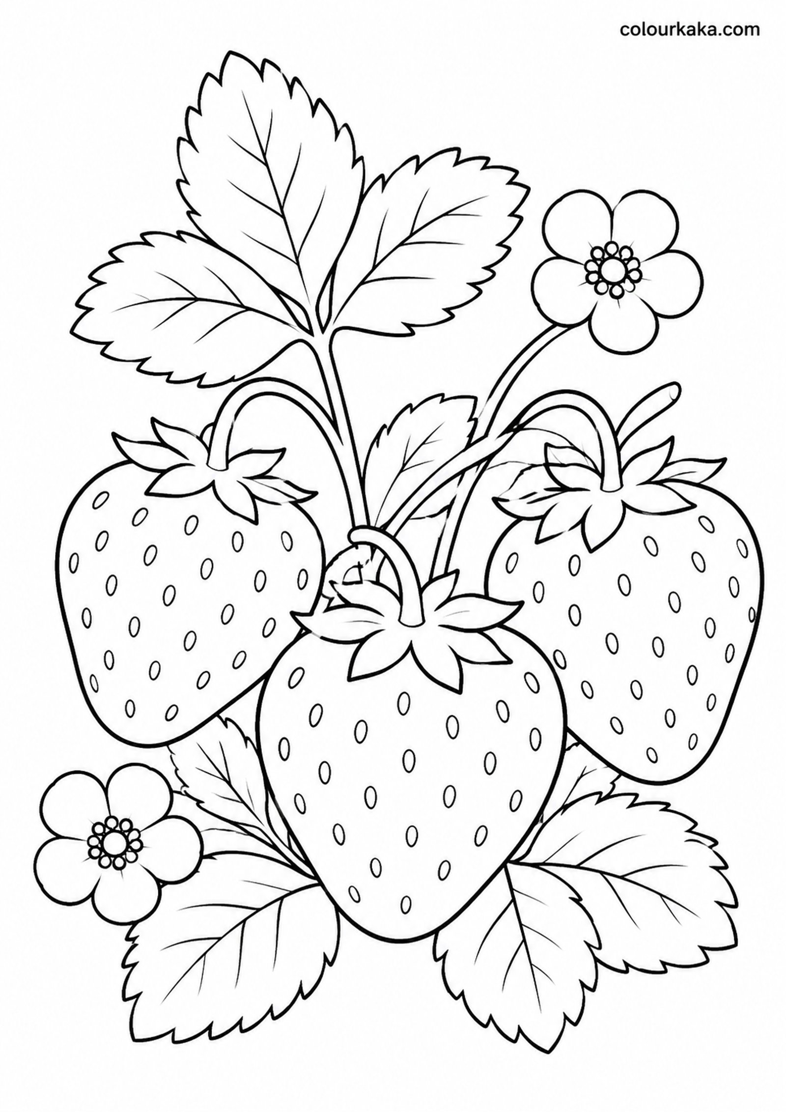 Strawberry Garden Colouring colouring page preview