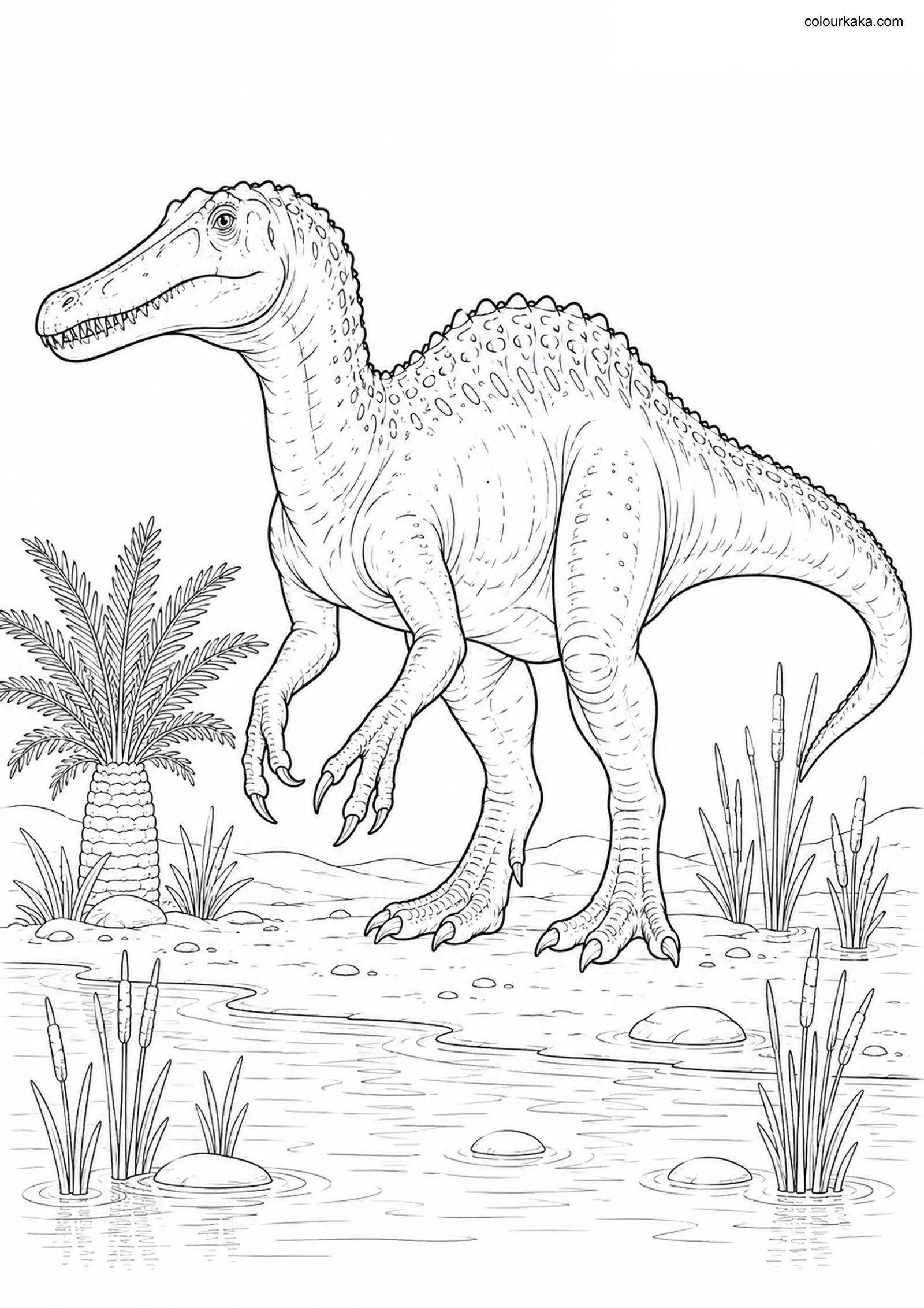 Suchomimus Colouring Page colouring page preview