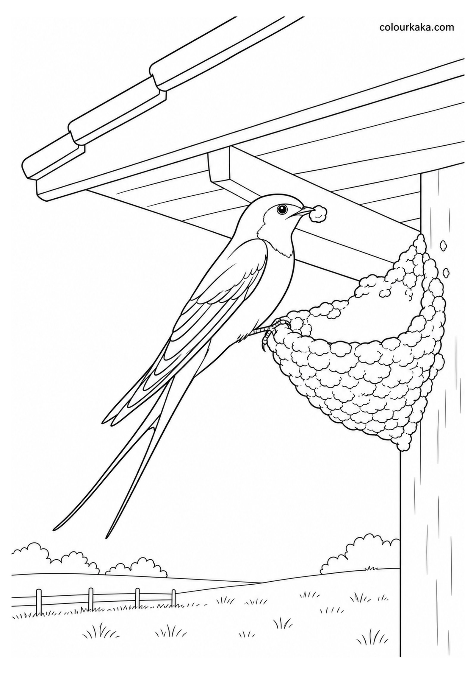 Swallow Building a Mud Nest Colouring Page colouring page preview