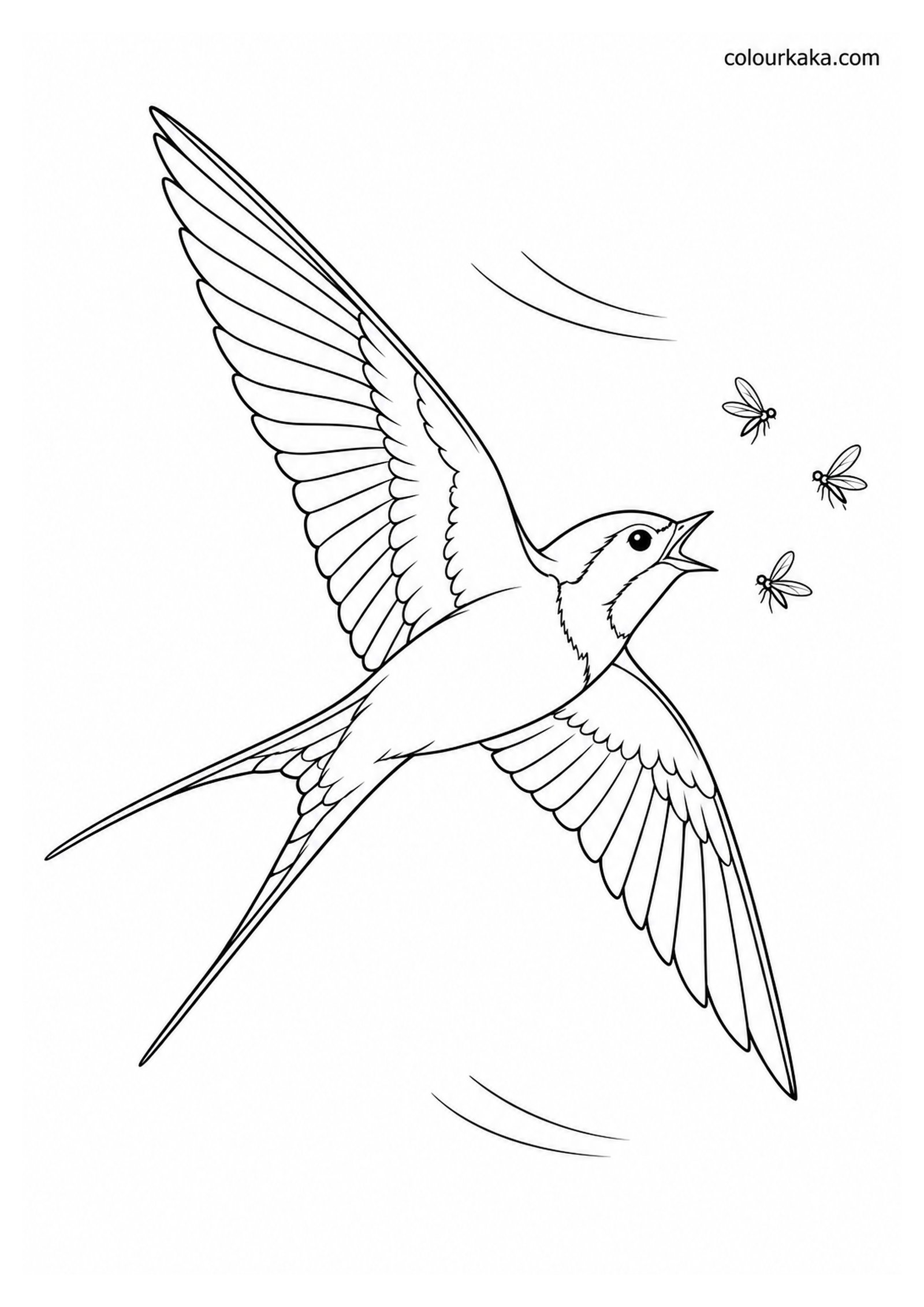 Swallow Catching Insects in the Air Colouring Page colouring page preview