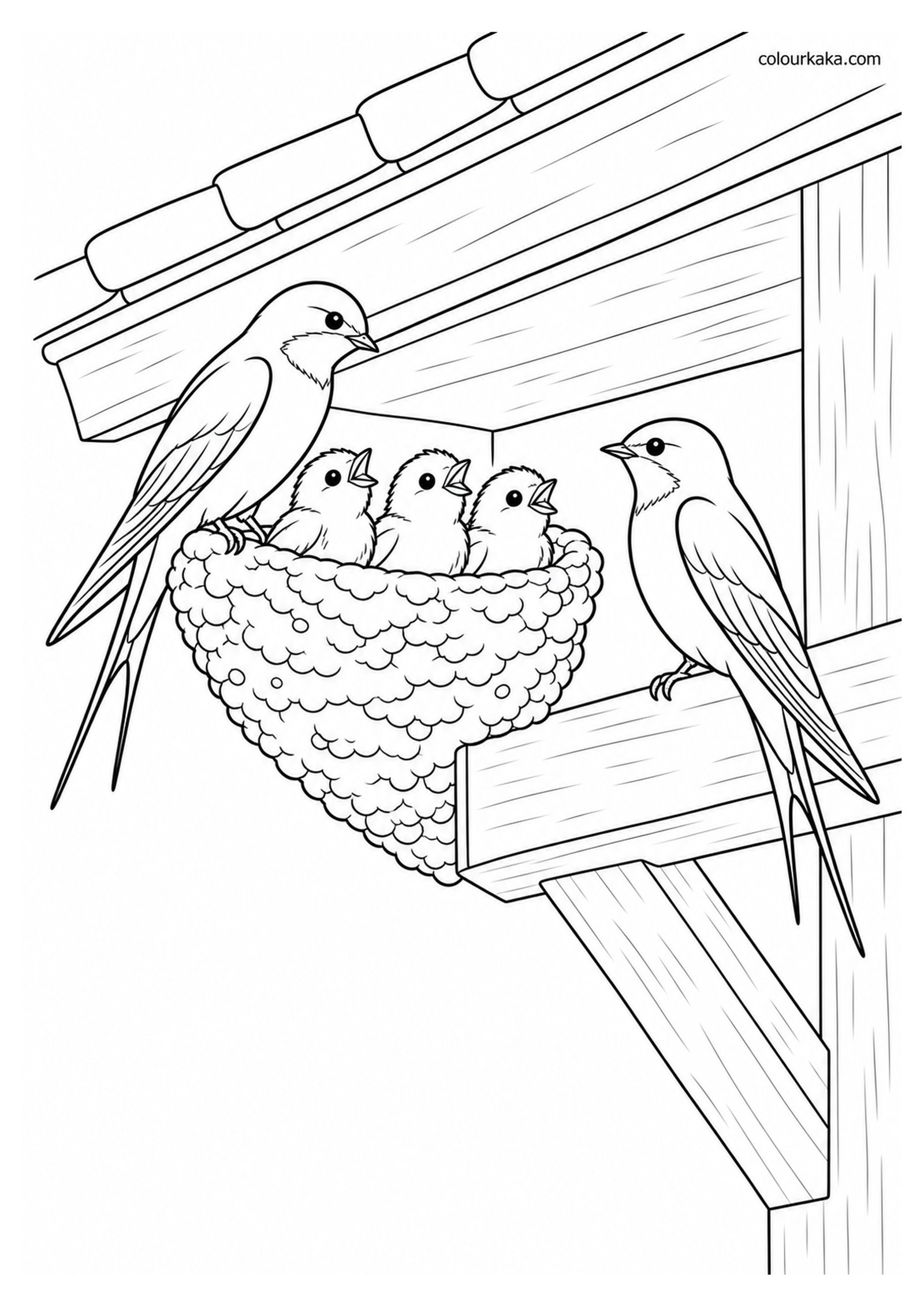 Swallow Family Under a Rooftop Colouring Page colouring page preview