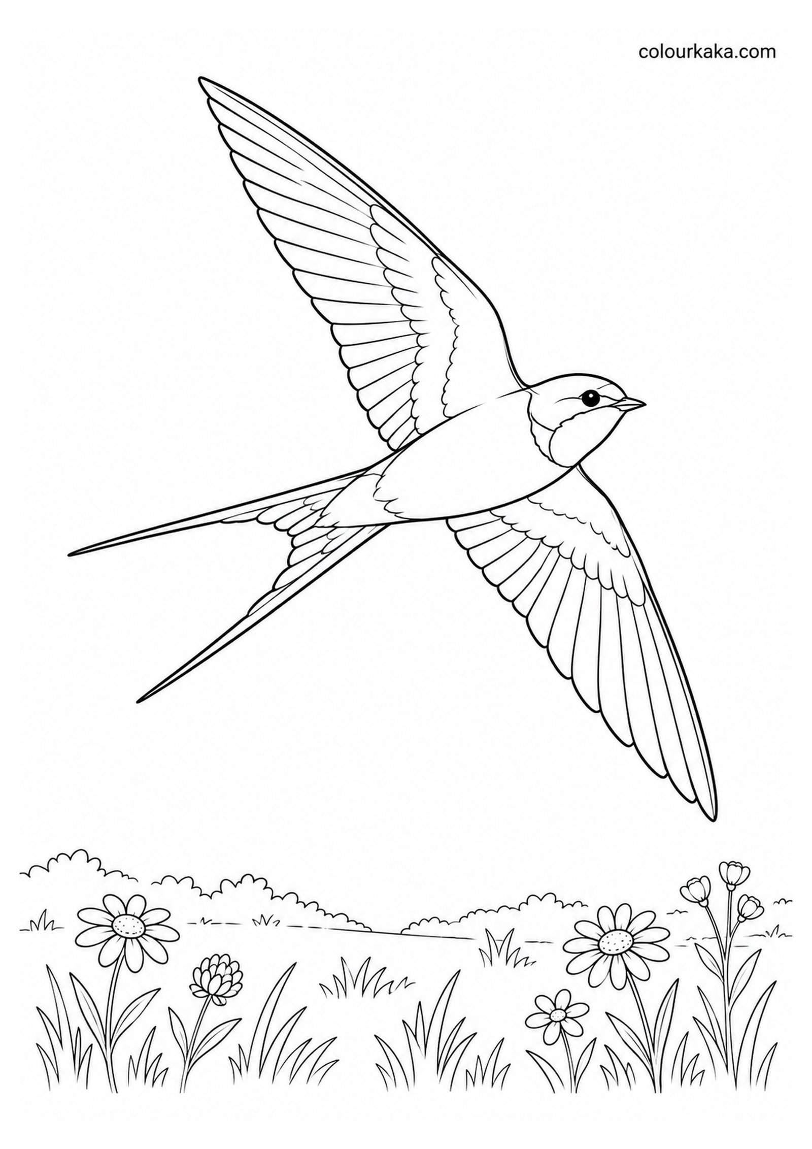 Swallow Flying Over a Meadow Colouring Page colouring page preview