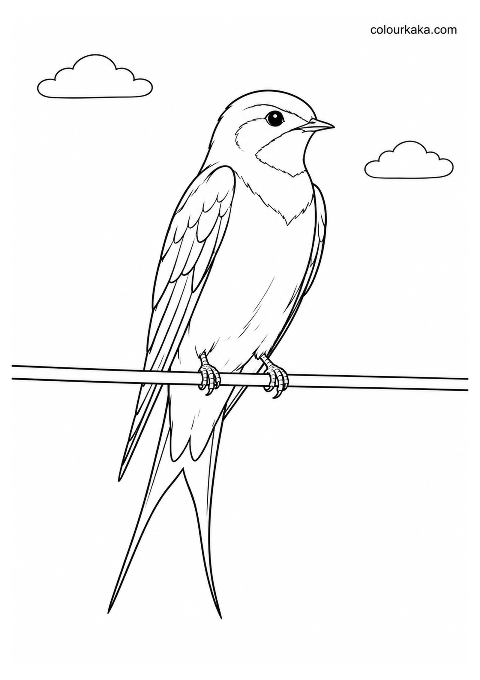 Swallow Resting on a Wire Colouring Page colouring page preview