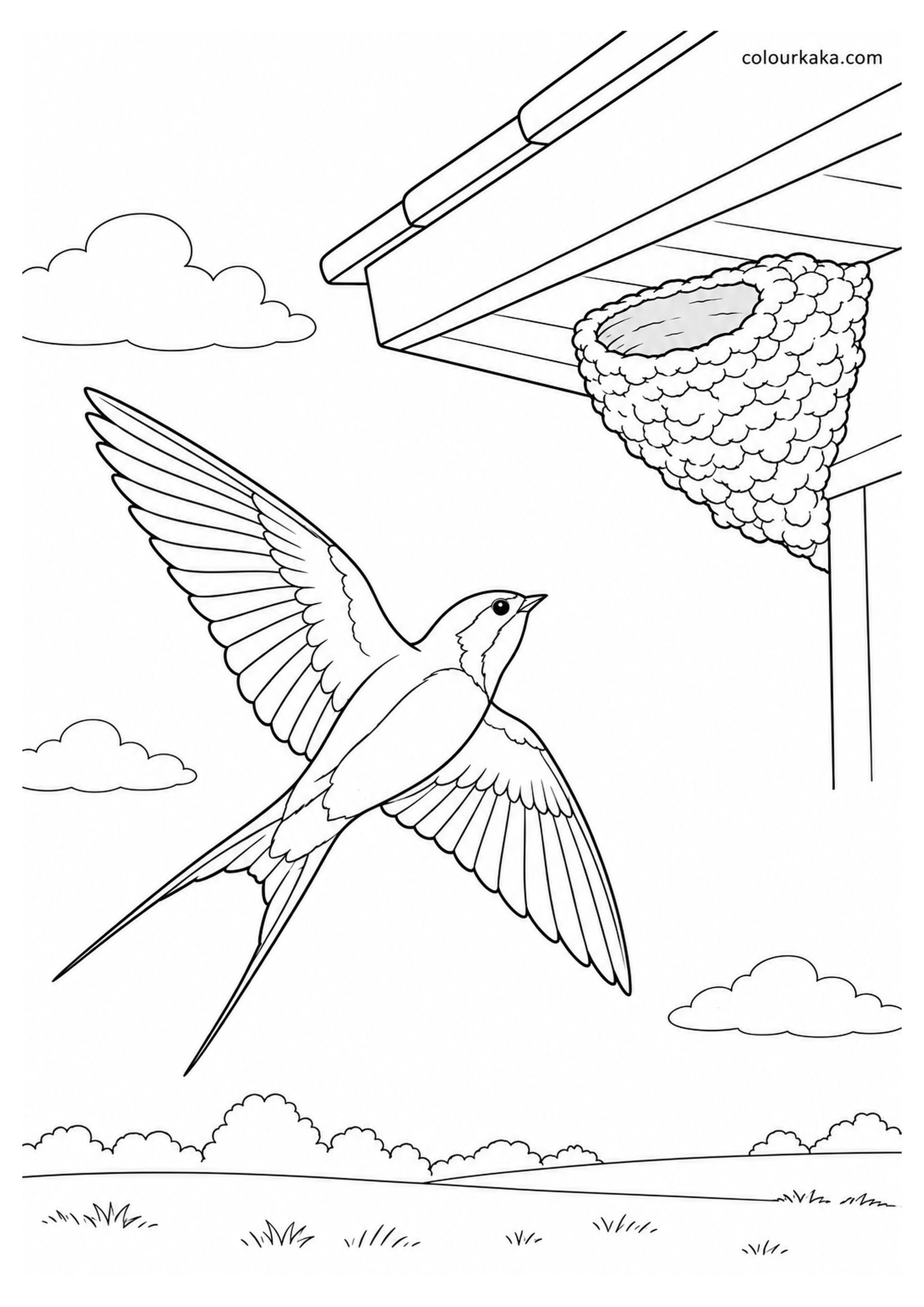 Swallow Returning to Its Nest Colouring Page colouring page preview