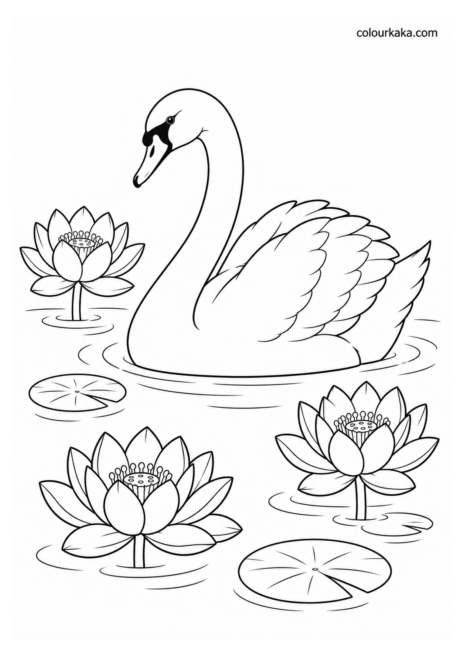Swan Among Lotus Flowers Colouring colouring page preview