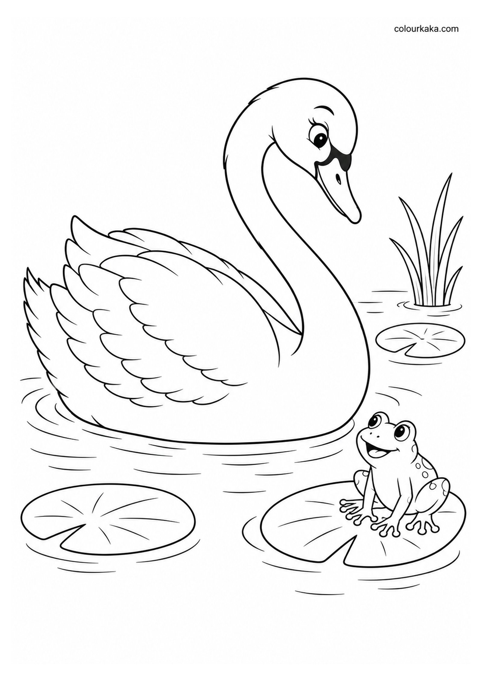 Swan and Frog Friends Colouring colouring page preview