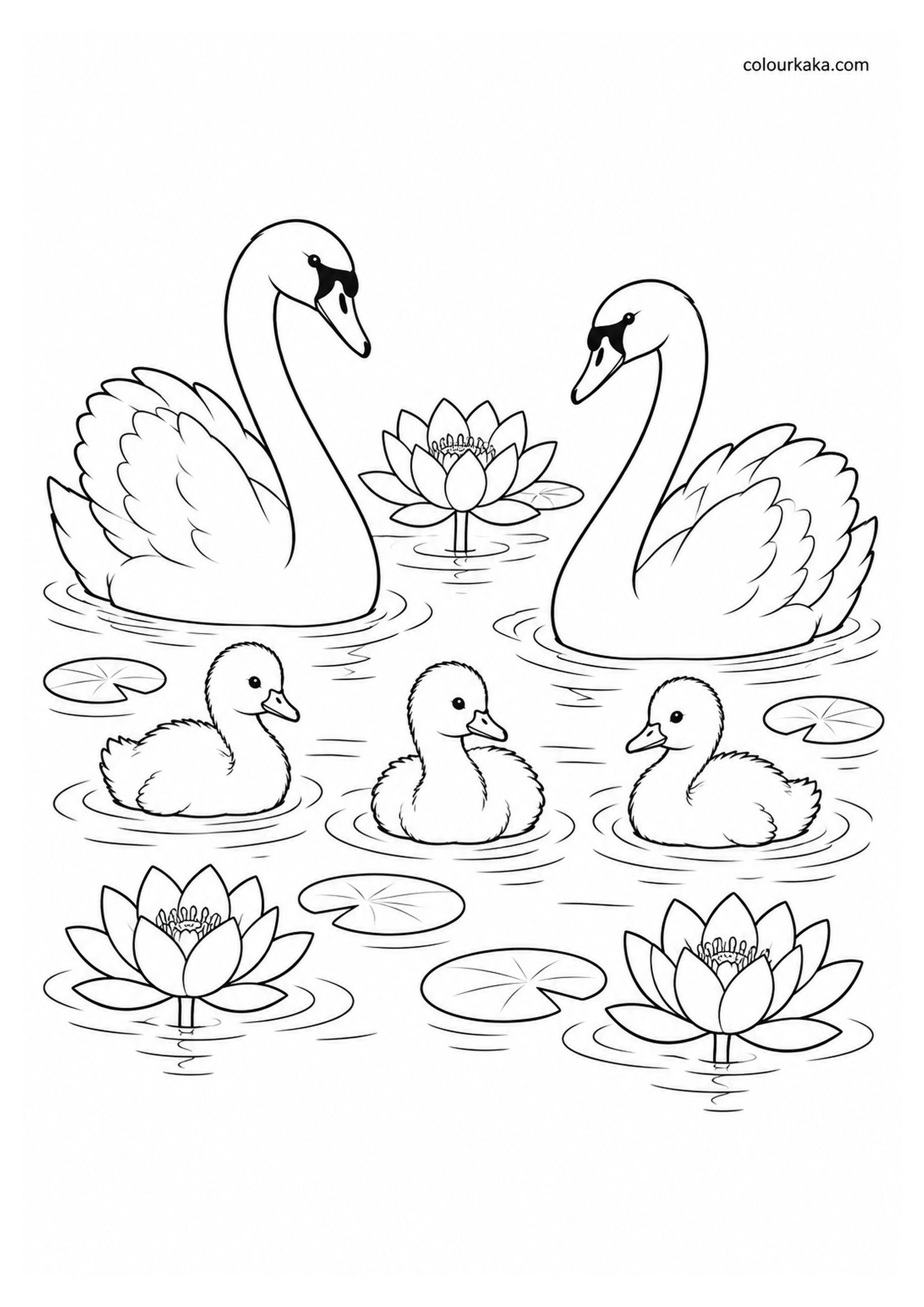 Swan Family in a Lotus Pond colouring page preview