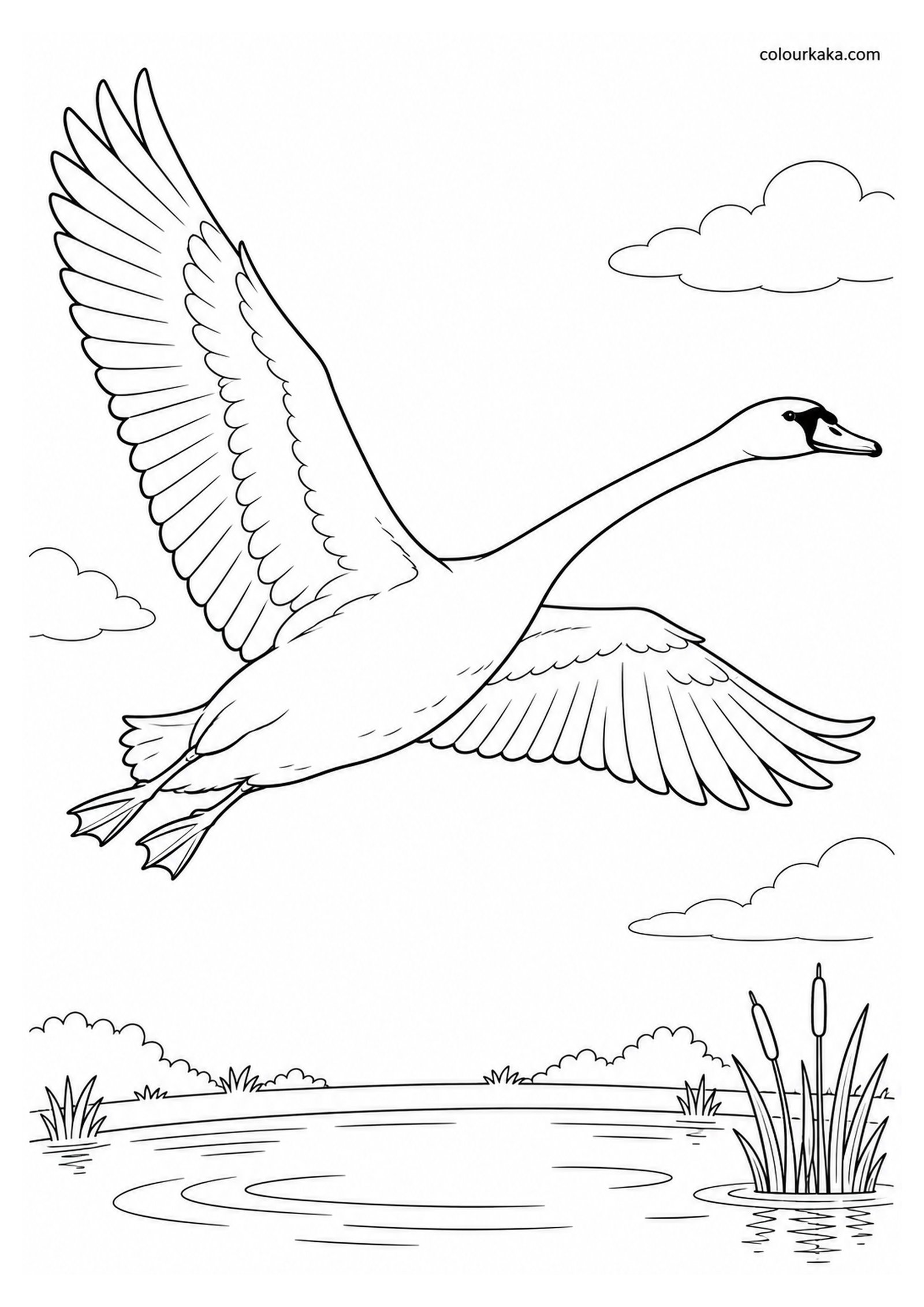 Swan Flying Over the Pond Colouring colouring page preview