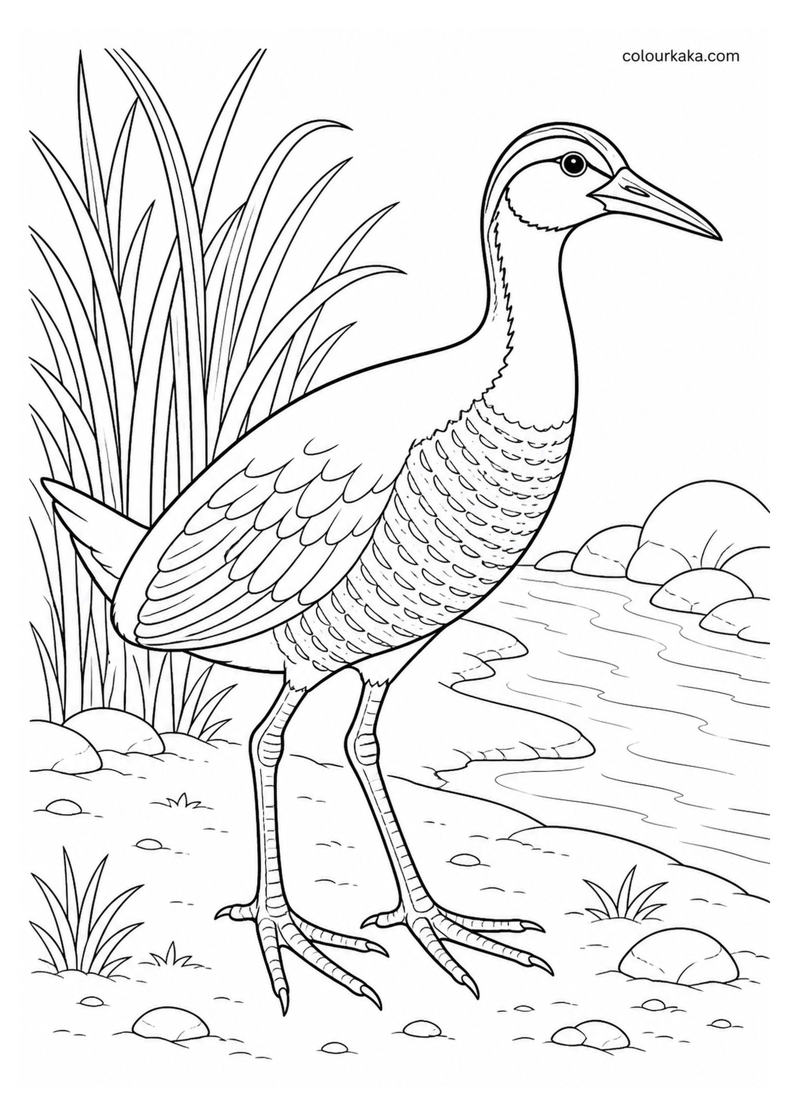 Tahiti Rail Colouring Page colouring page preview