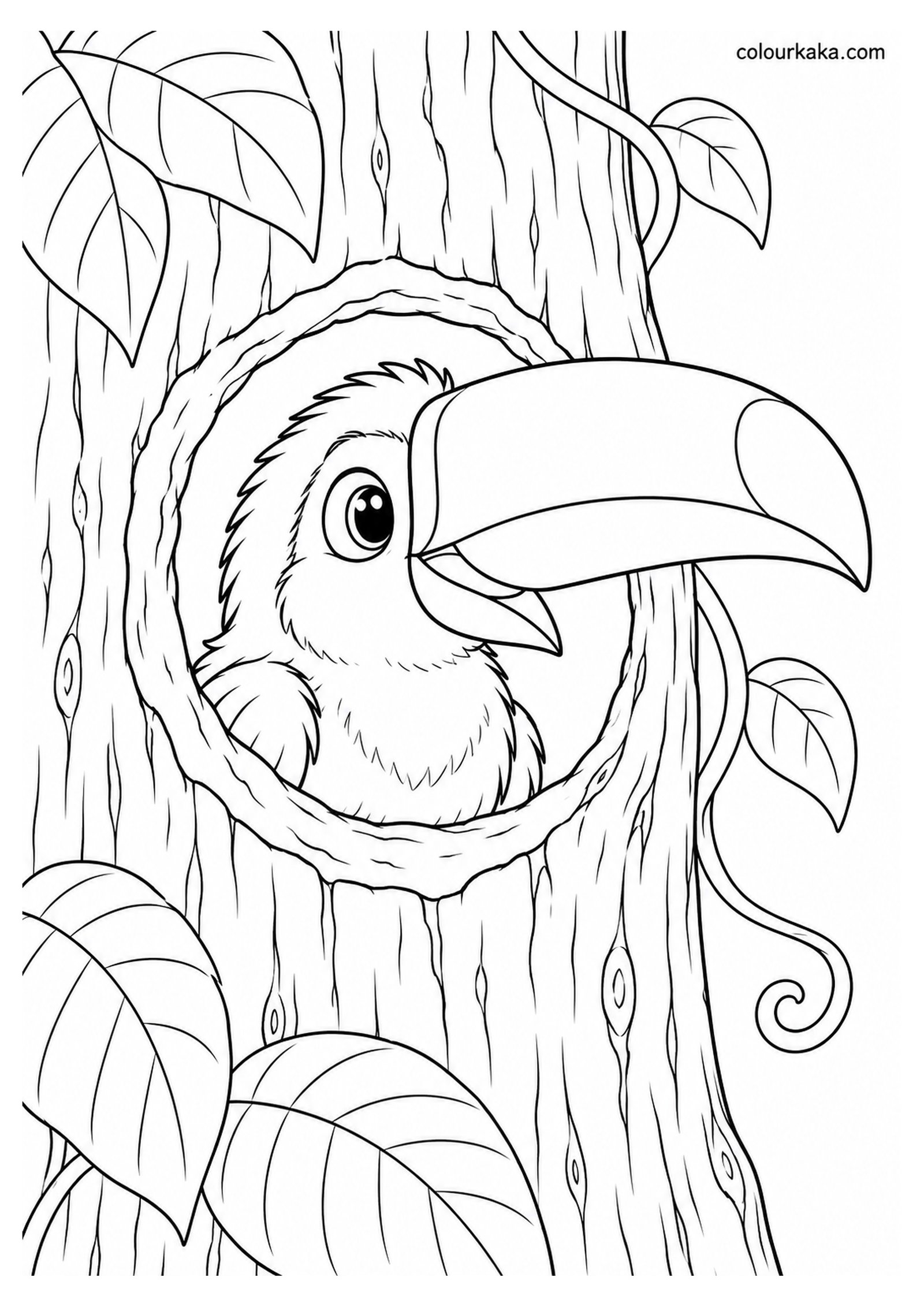 Toco Toucan Chick Peeking from a Tree-Hole Nest Colouring Page colouring page preview