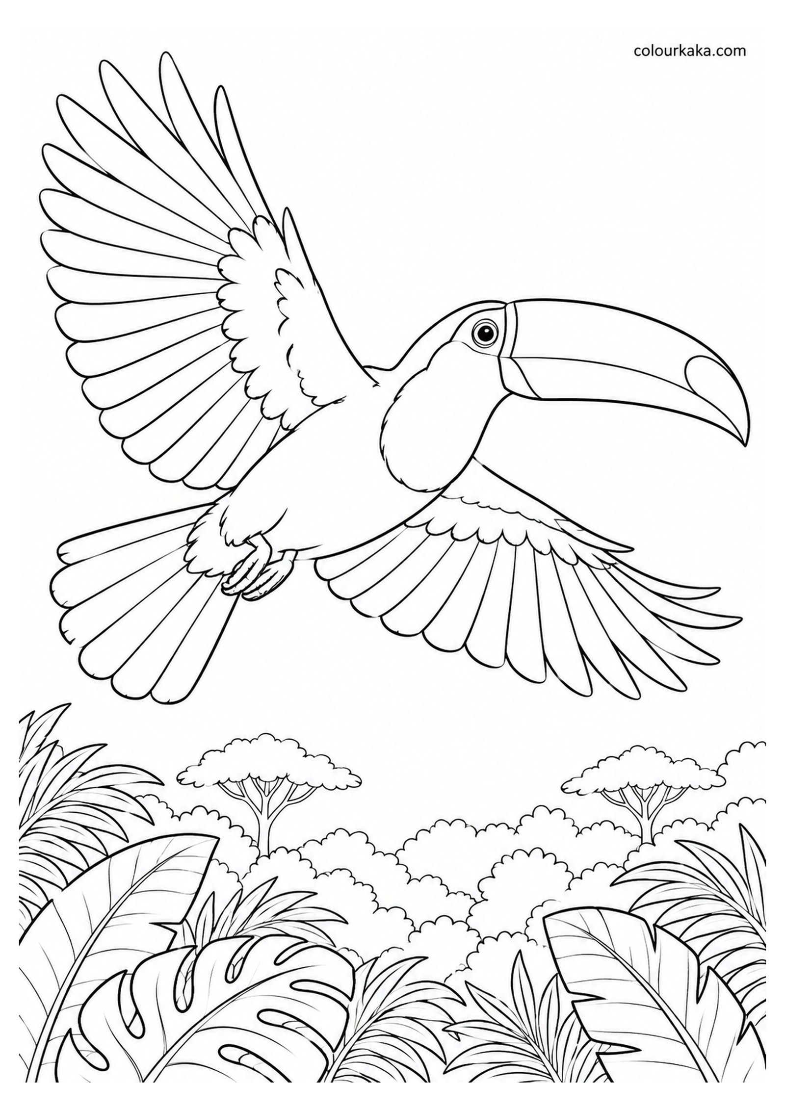 Toco Toucan Flying Across the Jungle Colouring Page colouring page preview