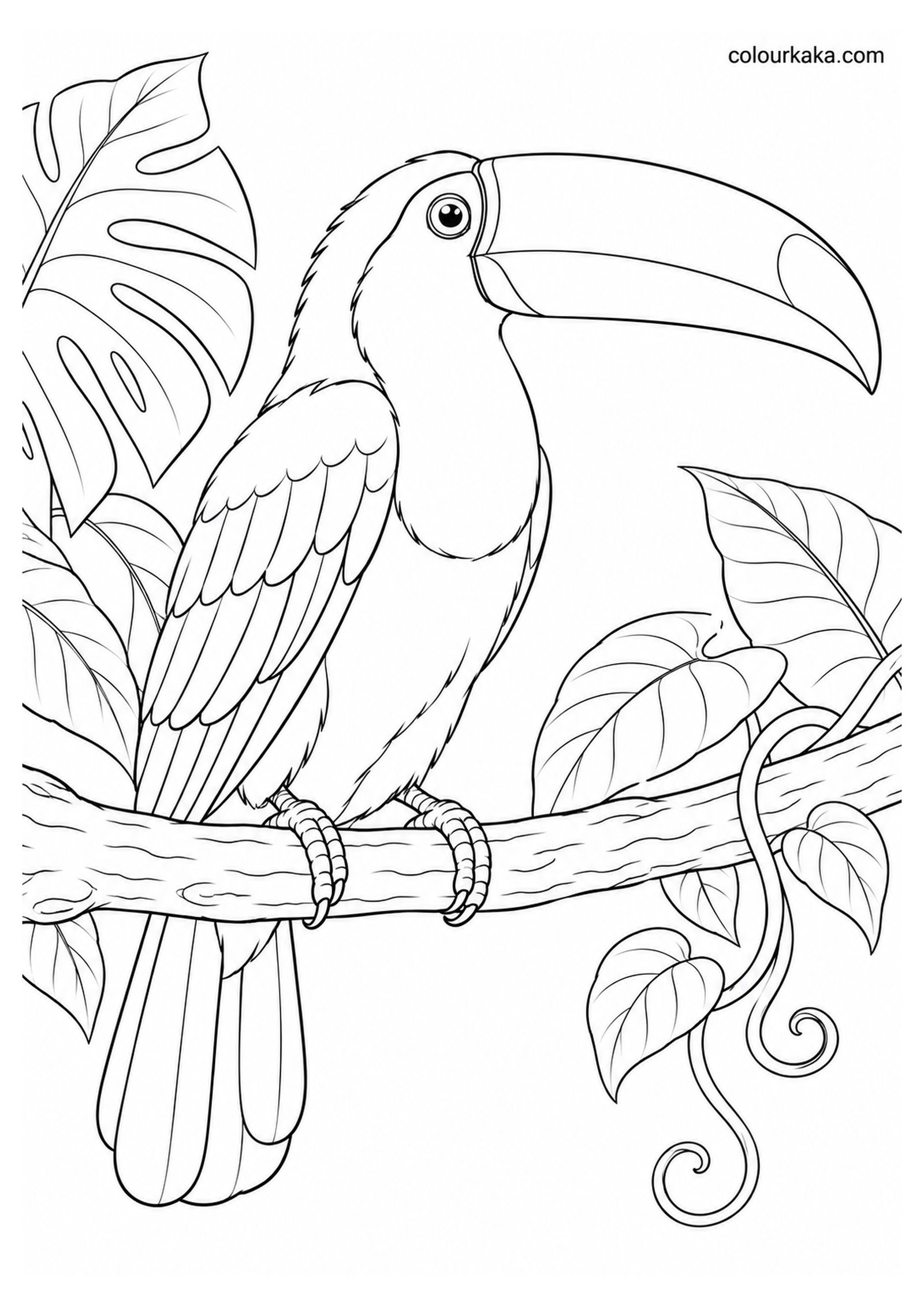 Toco Toucan Perched on a Rainforest Branch Colouring Page colouring page preview
