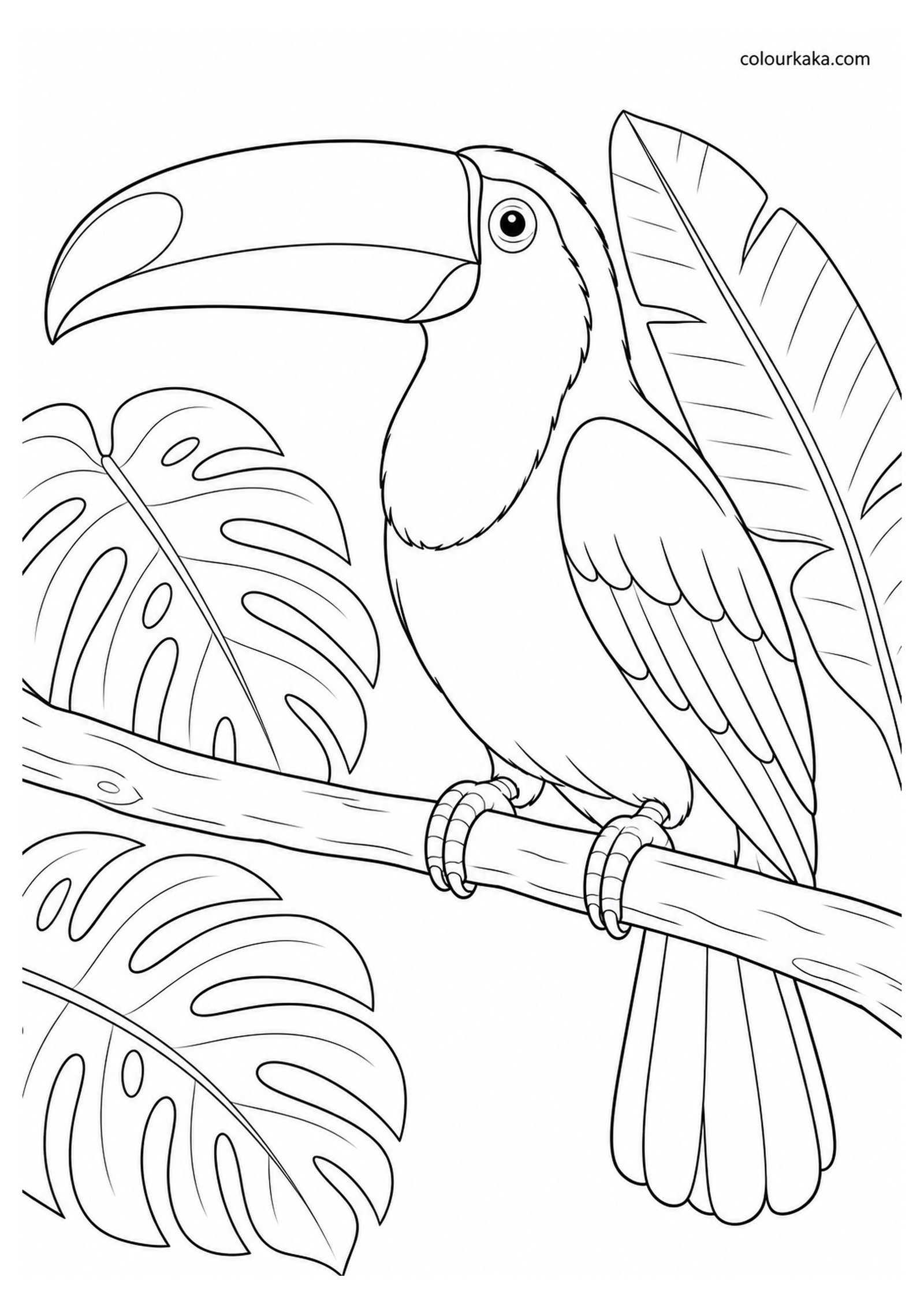 Toco Toucan Resting Near Large Tropical Leaves Colouring Page colouring page preview