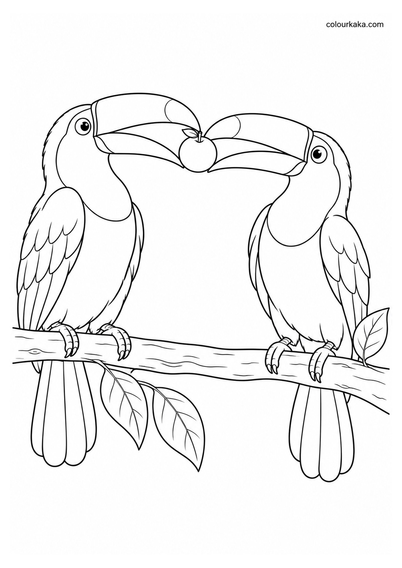 Toco Toucan Sharing Fruit with Another Toucan Colouring Page colouring page preview