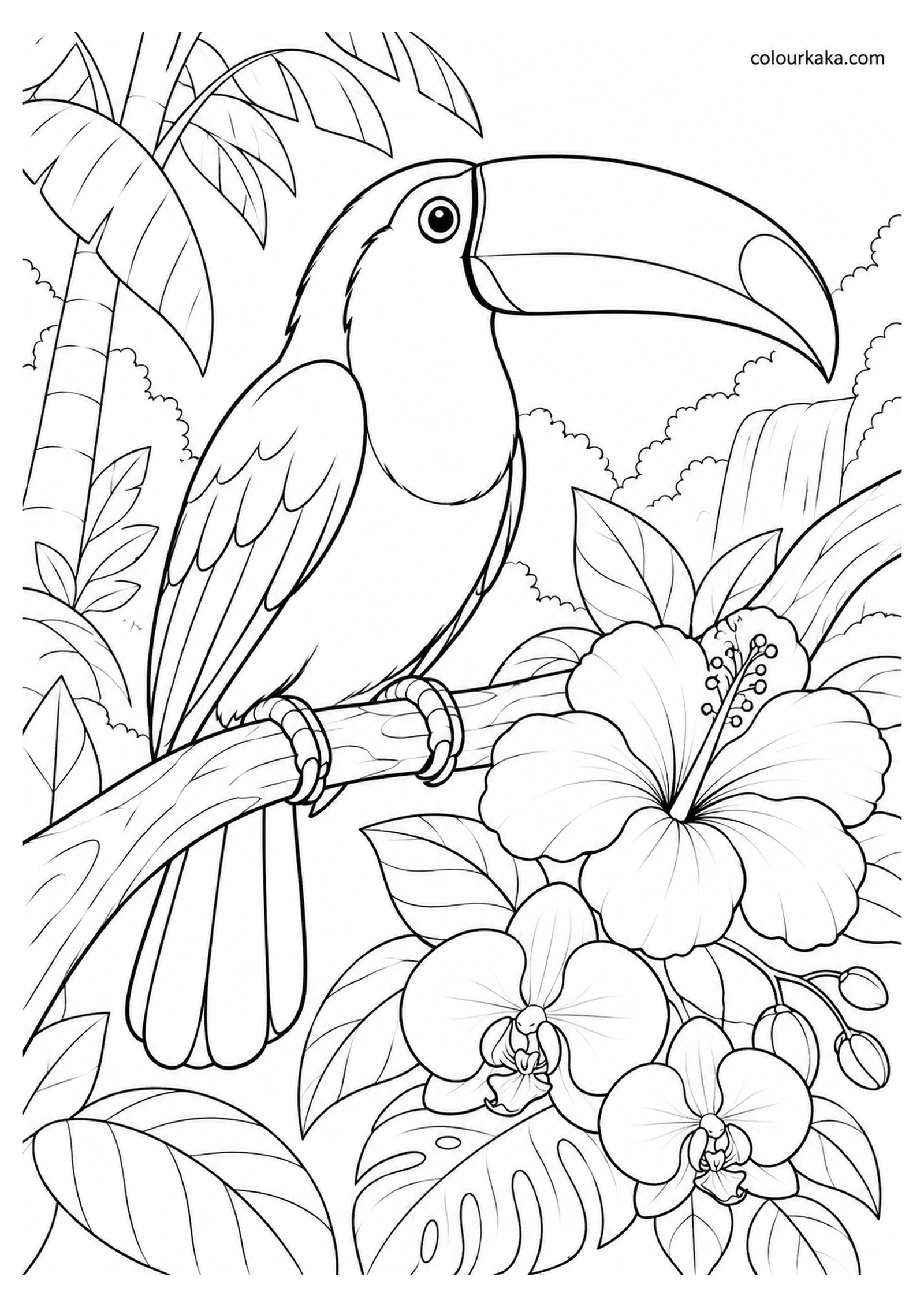 Toco Toucan Sitting Near Exotic Flowers Colouring Page colouring page preview