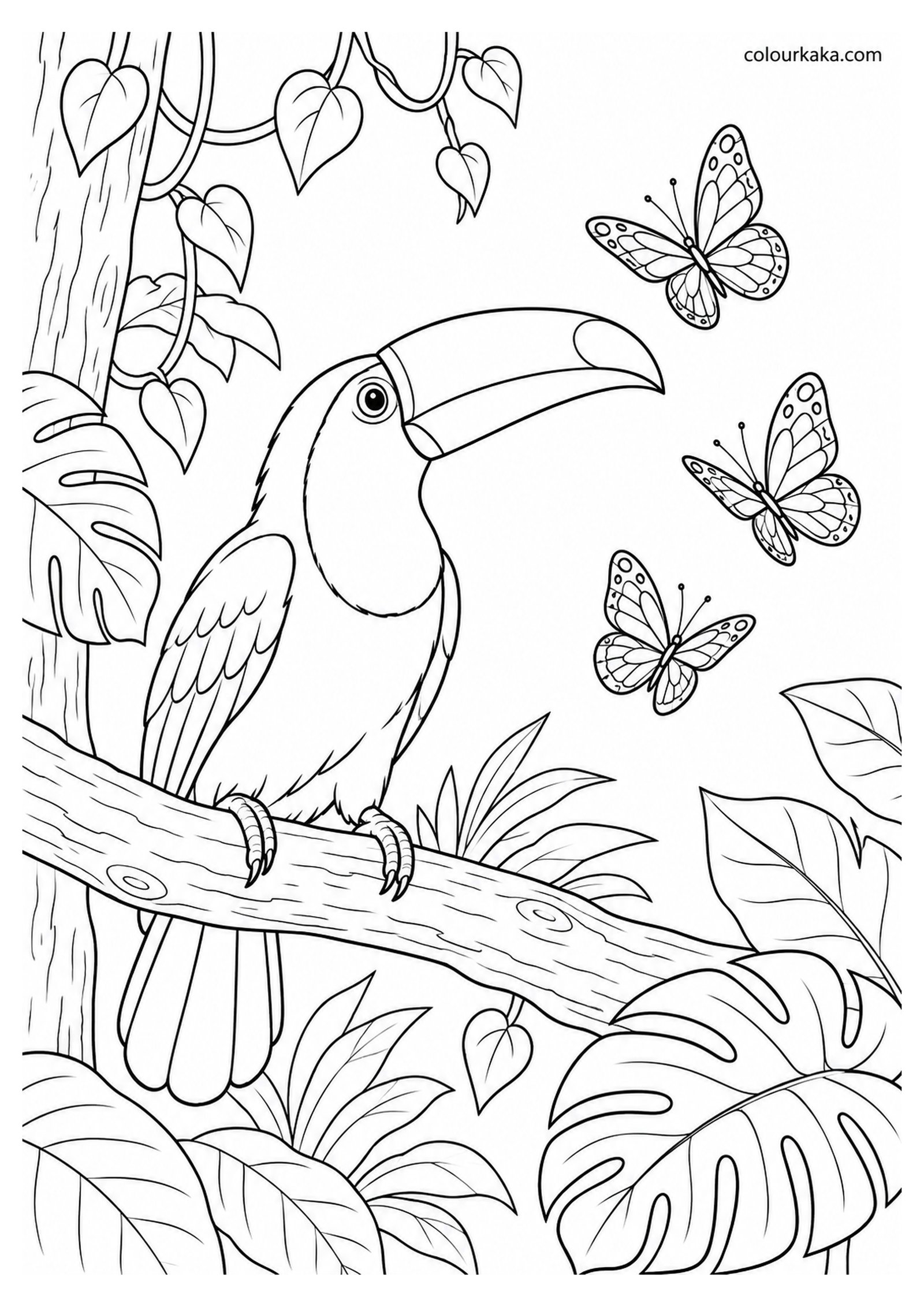 Toco Toucan Watching Butterflies in the Forest Colouring Page colouring page preview