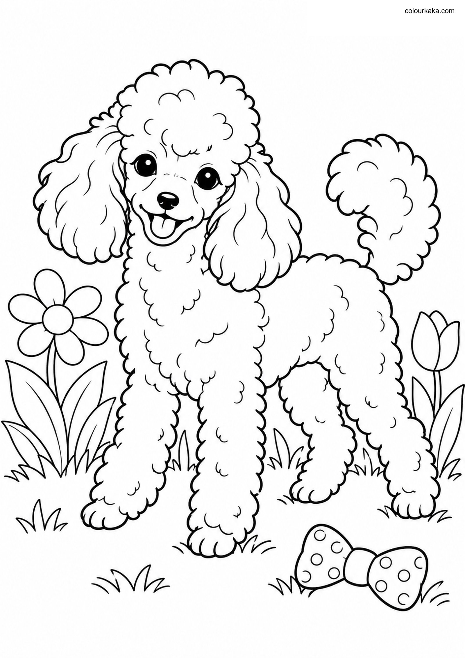Toy Poodle Colouring Page colouring page preview
