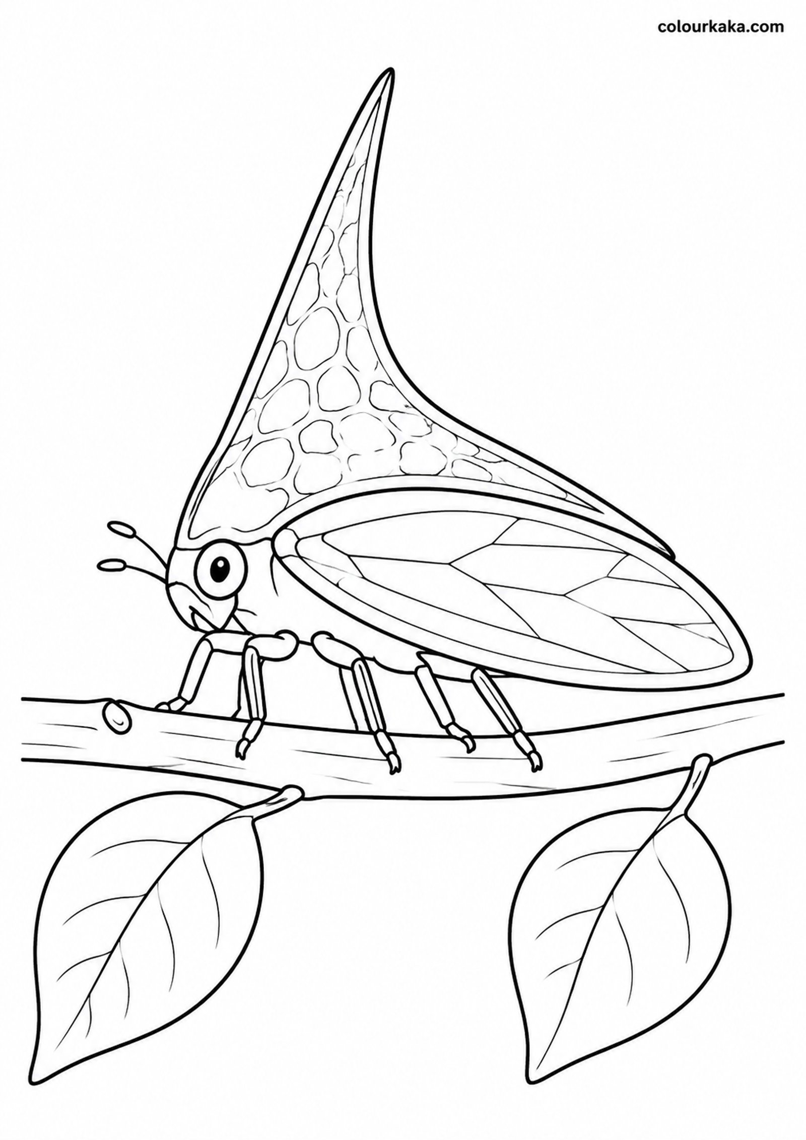 Treehopper Twig Colouring colouring page preview