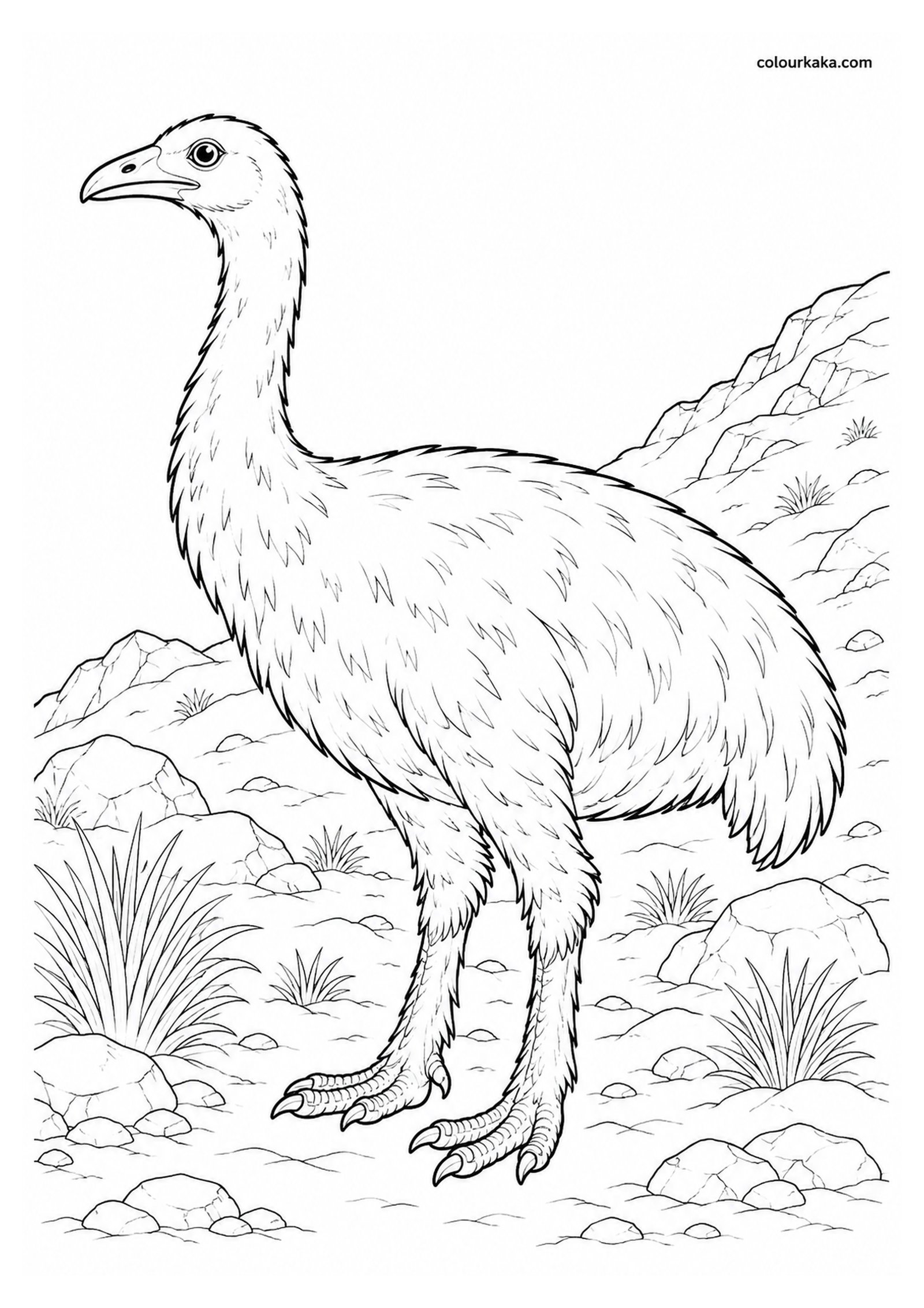 Upland Moa Colouring Page colouring page preview