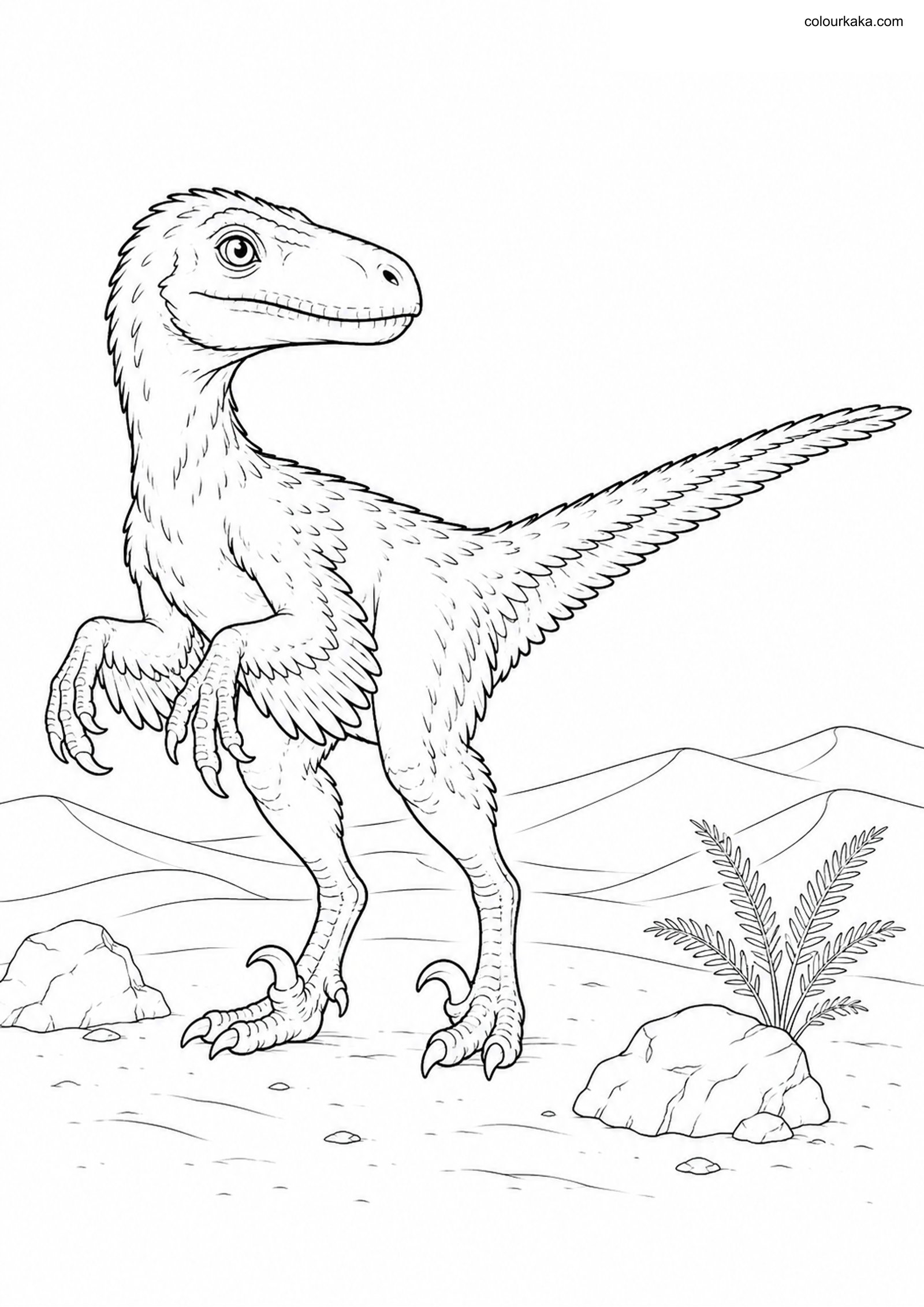 Velociraptor Colouring Page colouring page preview