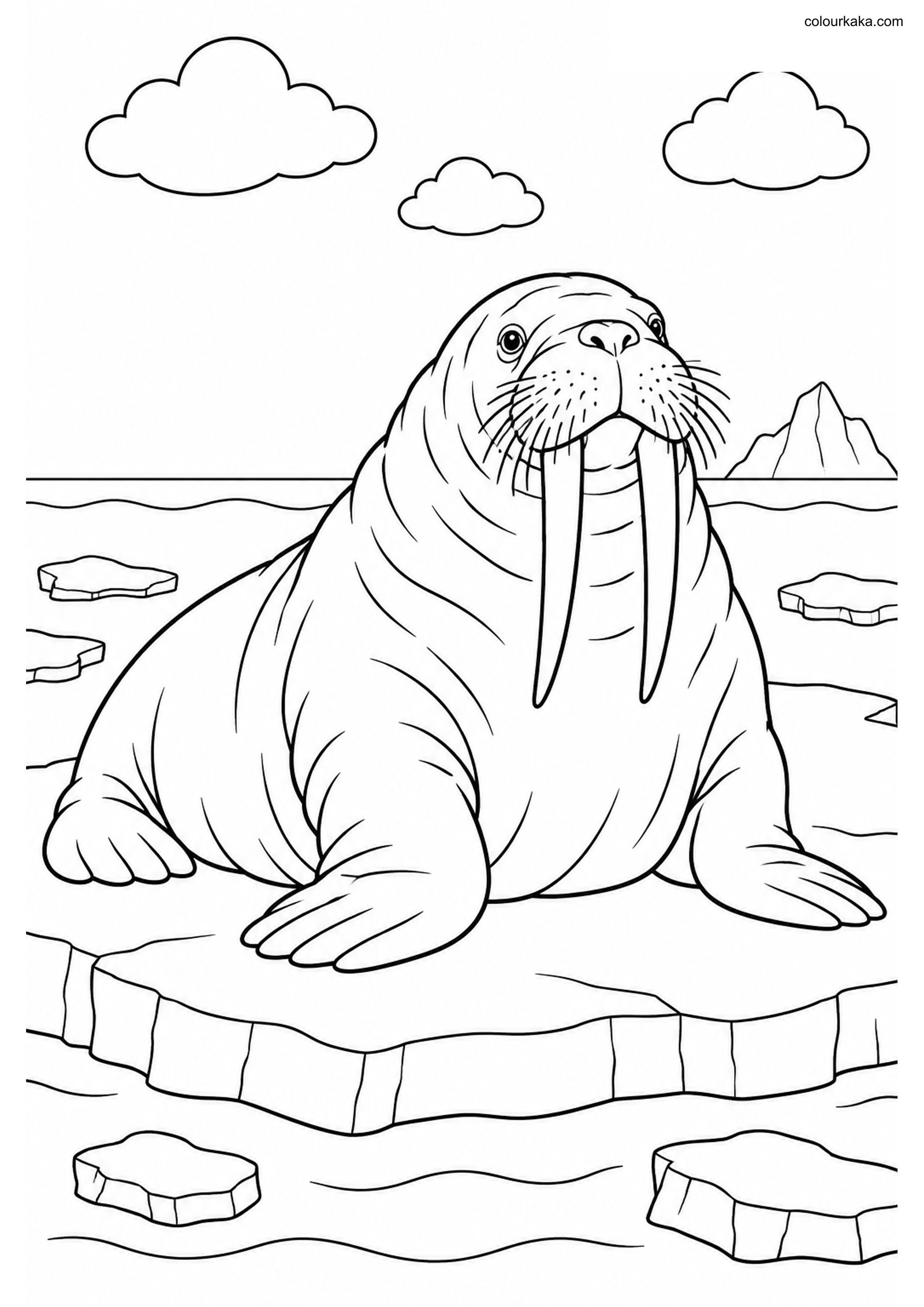 Walrus Ice Floe Colouring Page colouring page preview