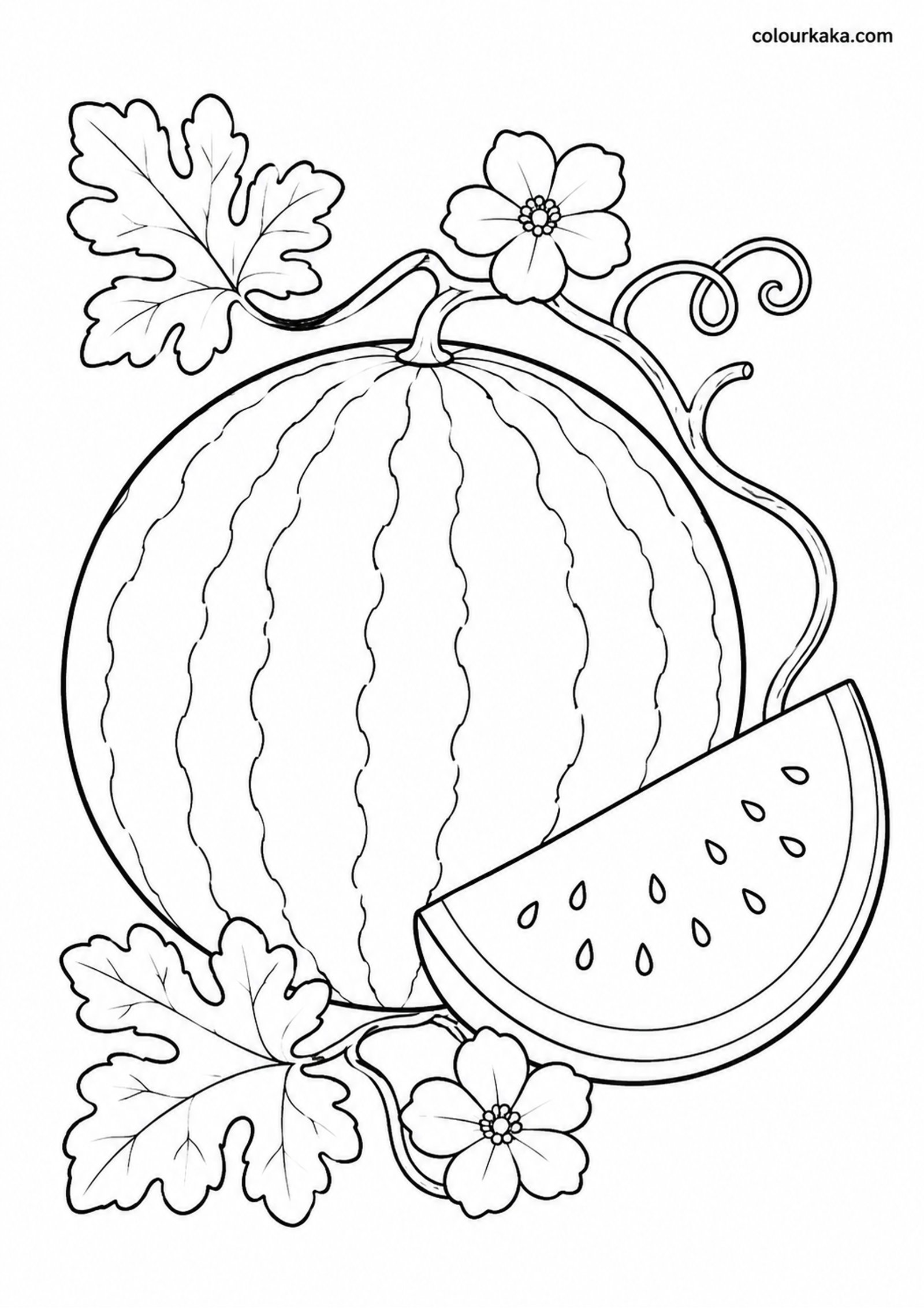 Watermelon Summer Colouring colouring page preview