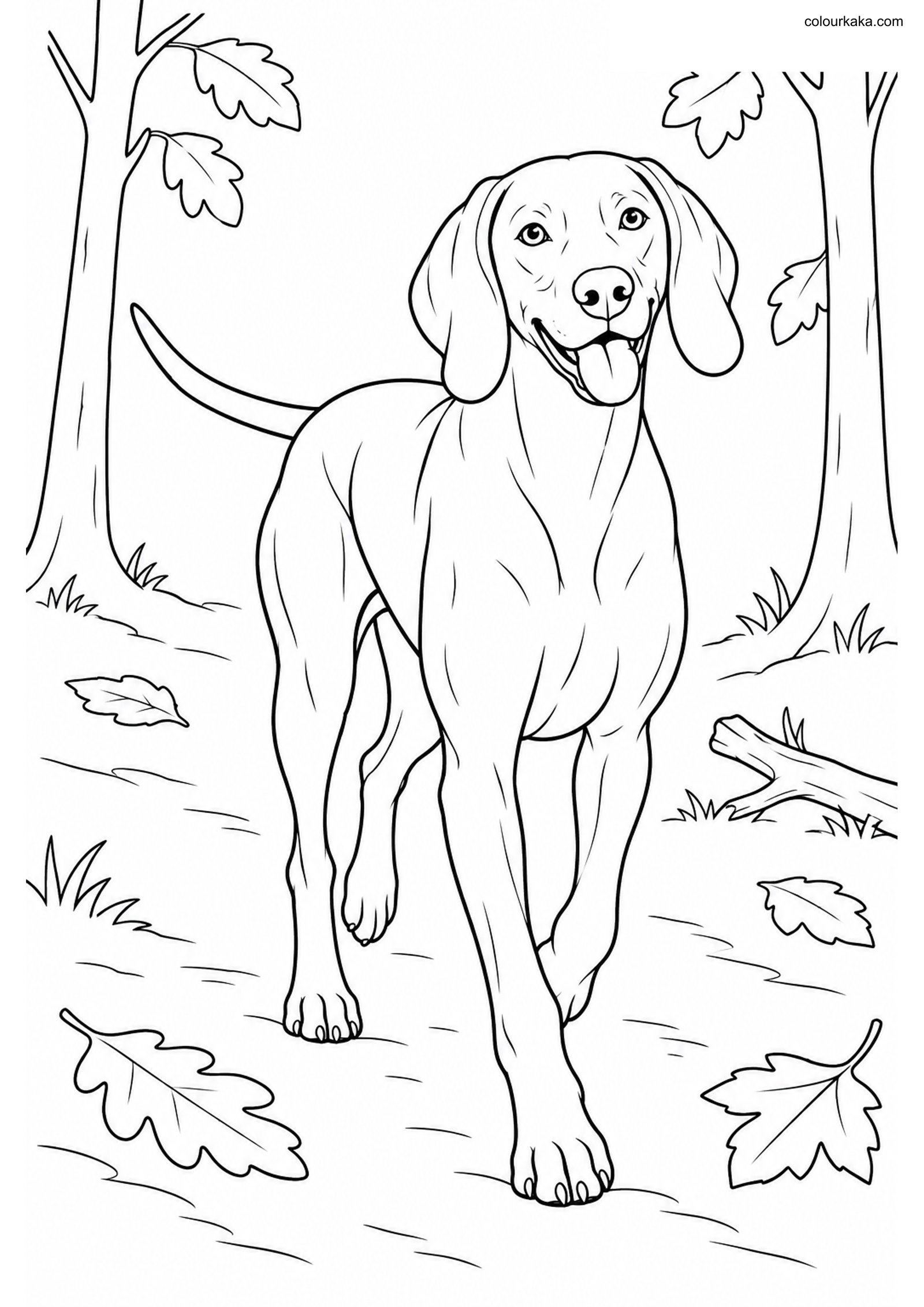 Weimaraner Dog Colouring colouring page preview