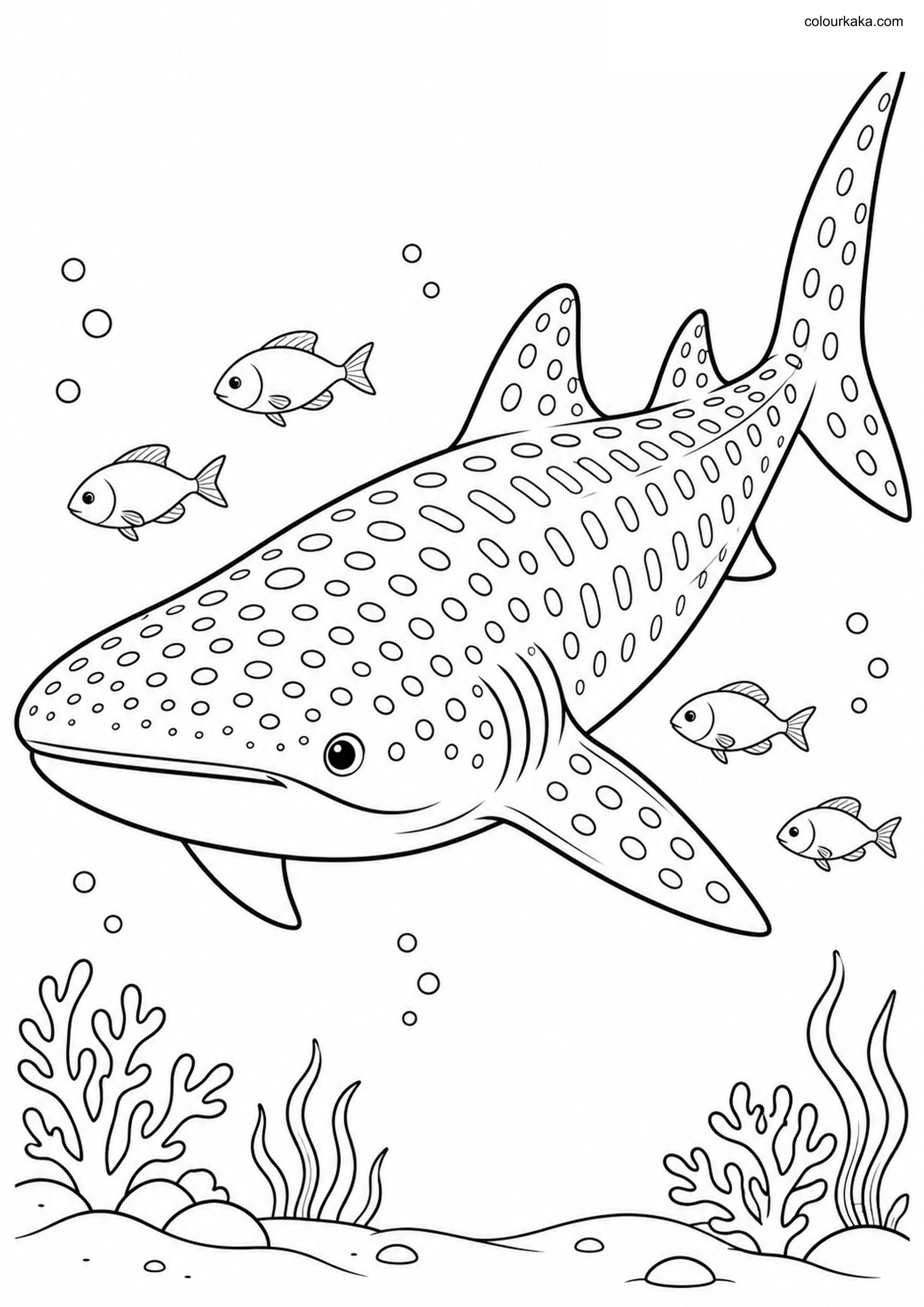 Whale Shark Colouring Page colouring page preview