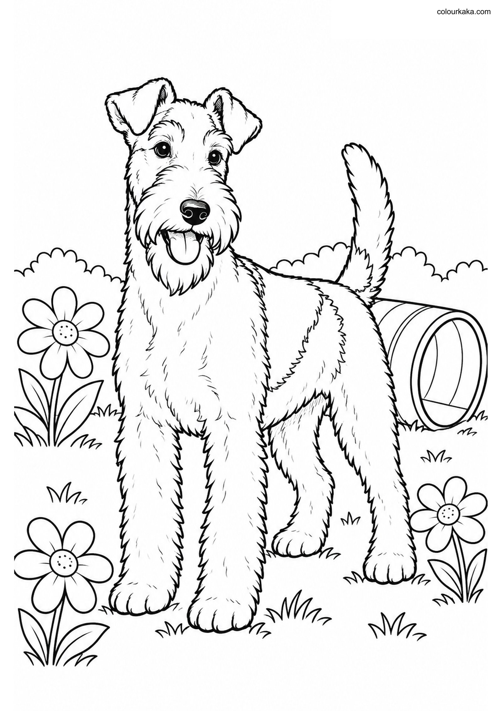 Wire Fox Terrier Colouring Page colouring page preview