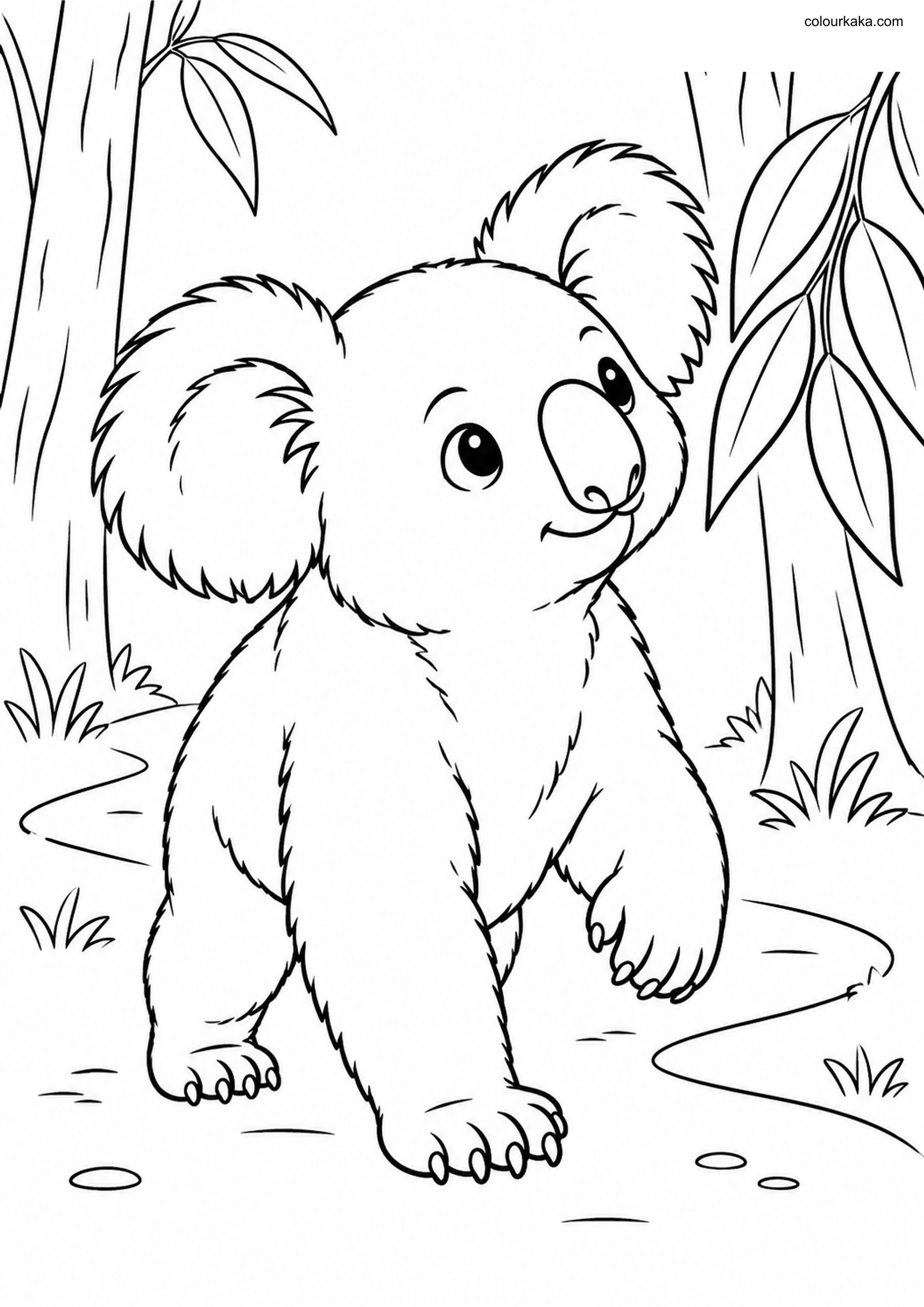 Exploring Koala Colouring Page colouring page preview