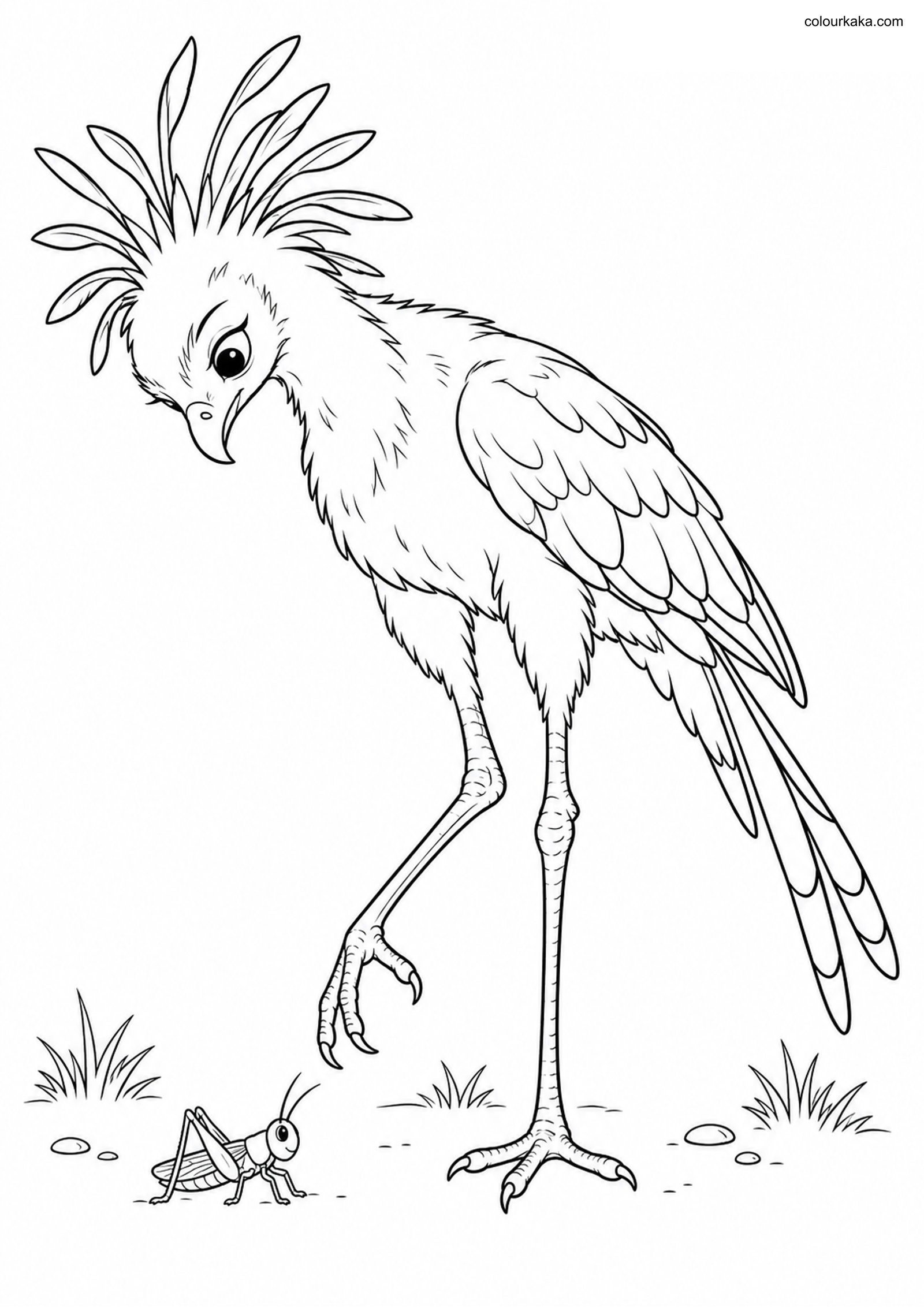 Young Secretary Bird Hunt Page colouring page preview