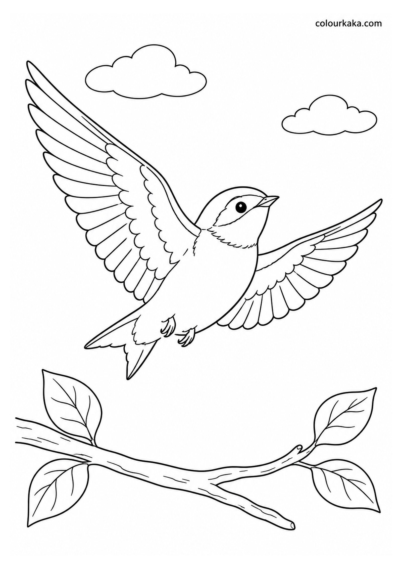 Young Swallow Learning to Fly Colouring Page colouring page preview