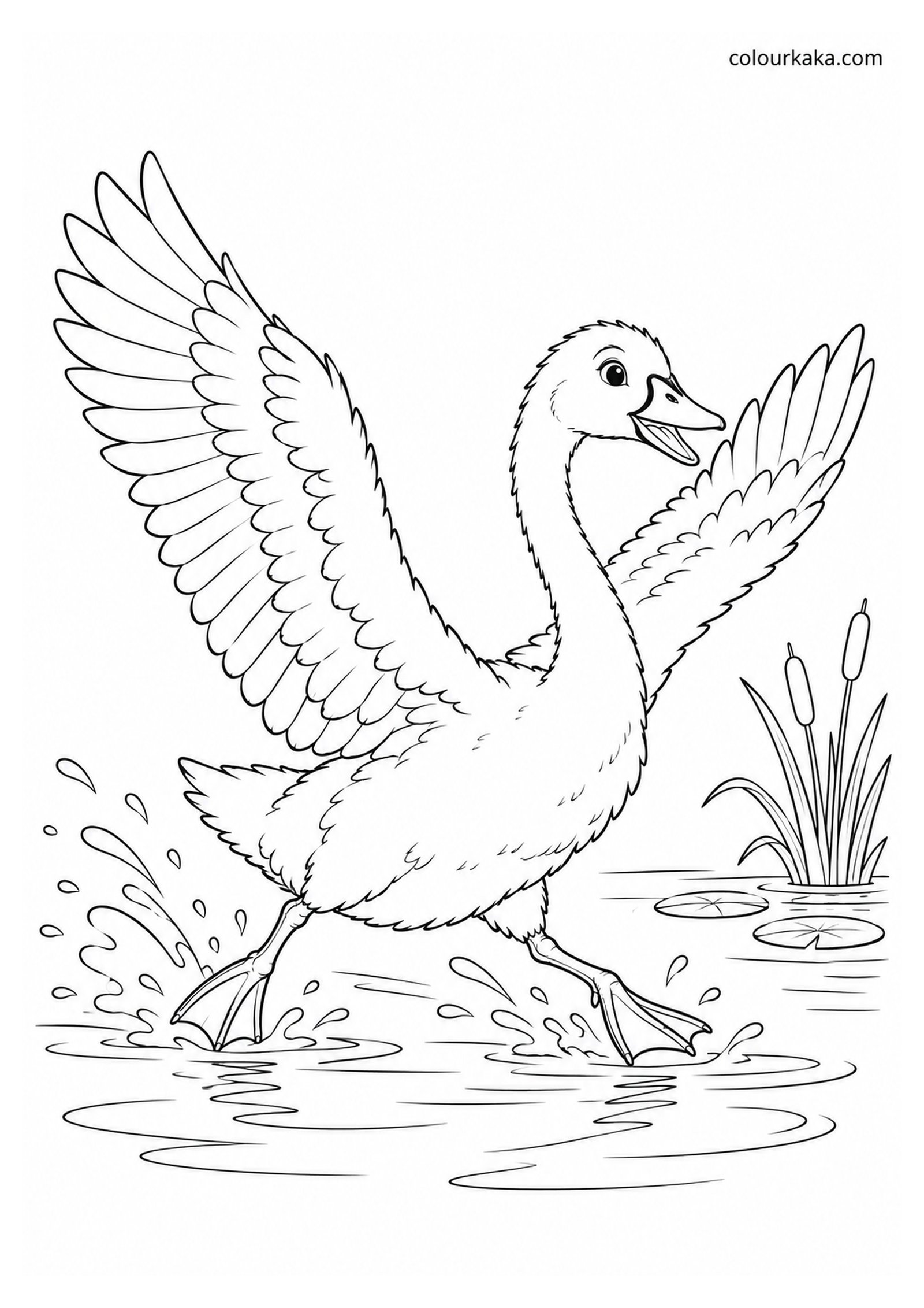 Young Swan Learning to Fly Colouring colouring page preview