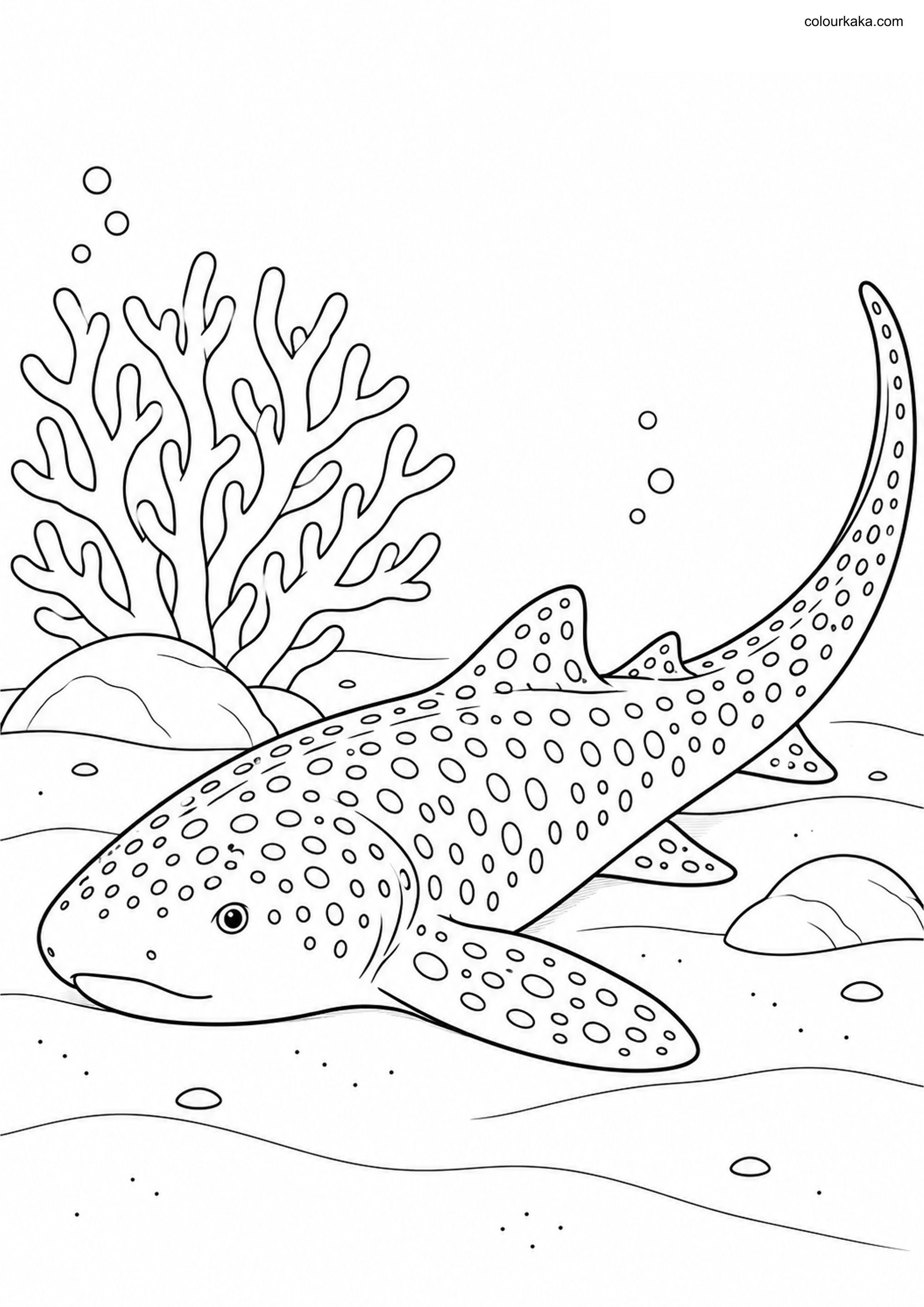 Zebra Shark Colouring Page colouring page preview