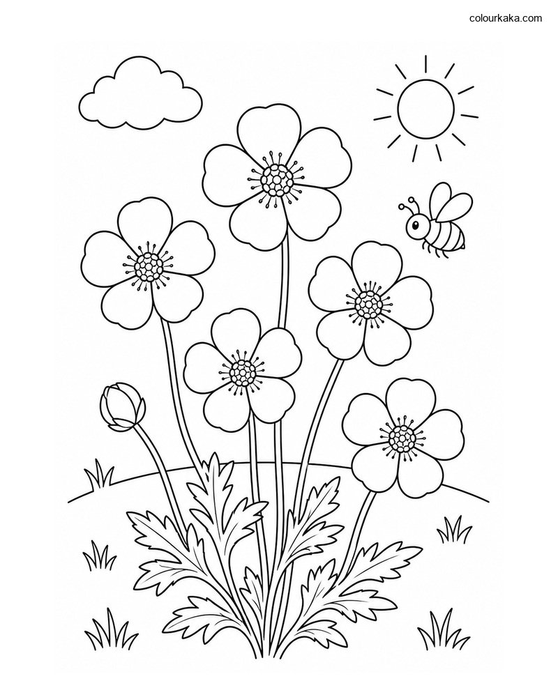 Buttercup Meadow Colouring Page thumbnail
